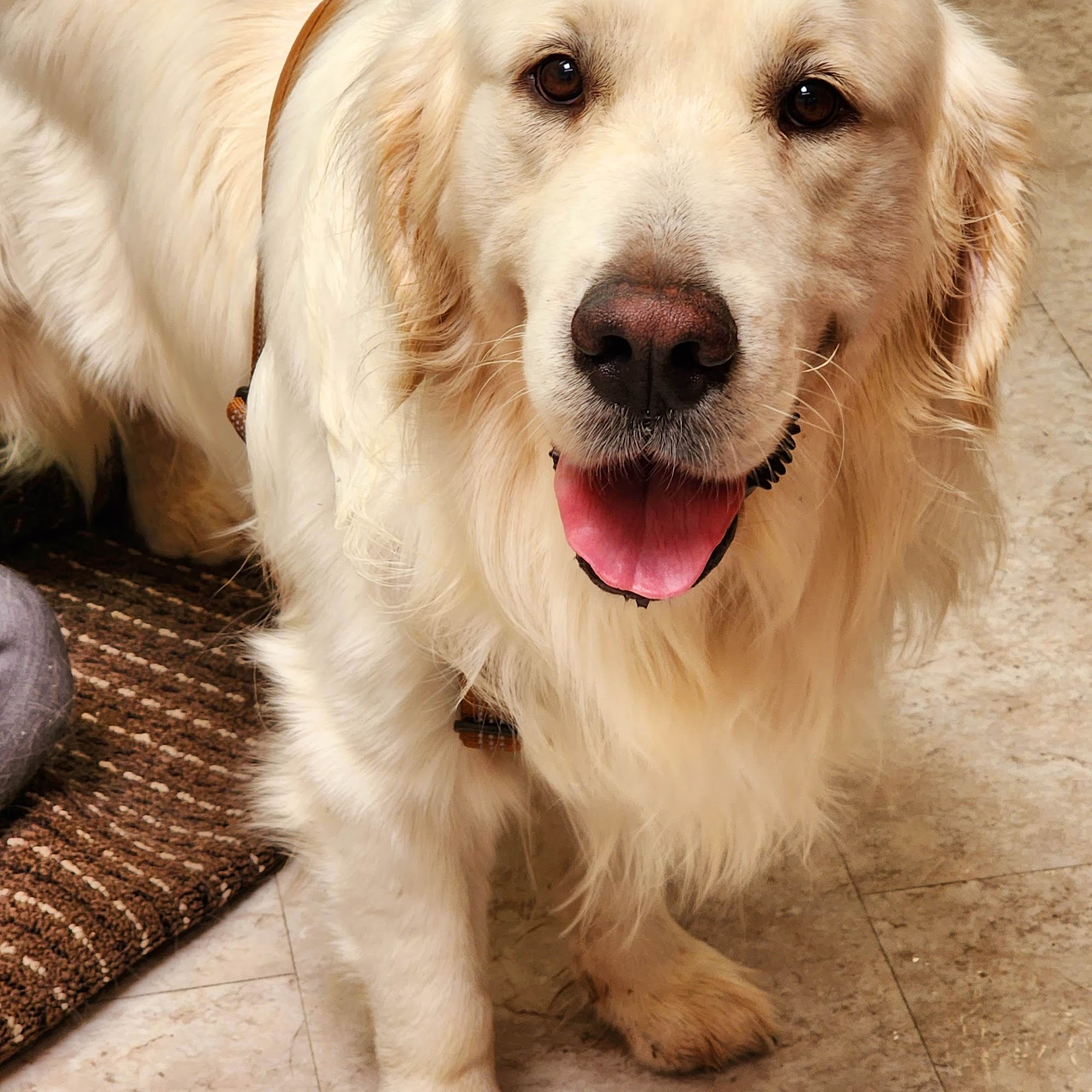 Bel Marin Animal Hospital Novato