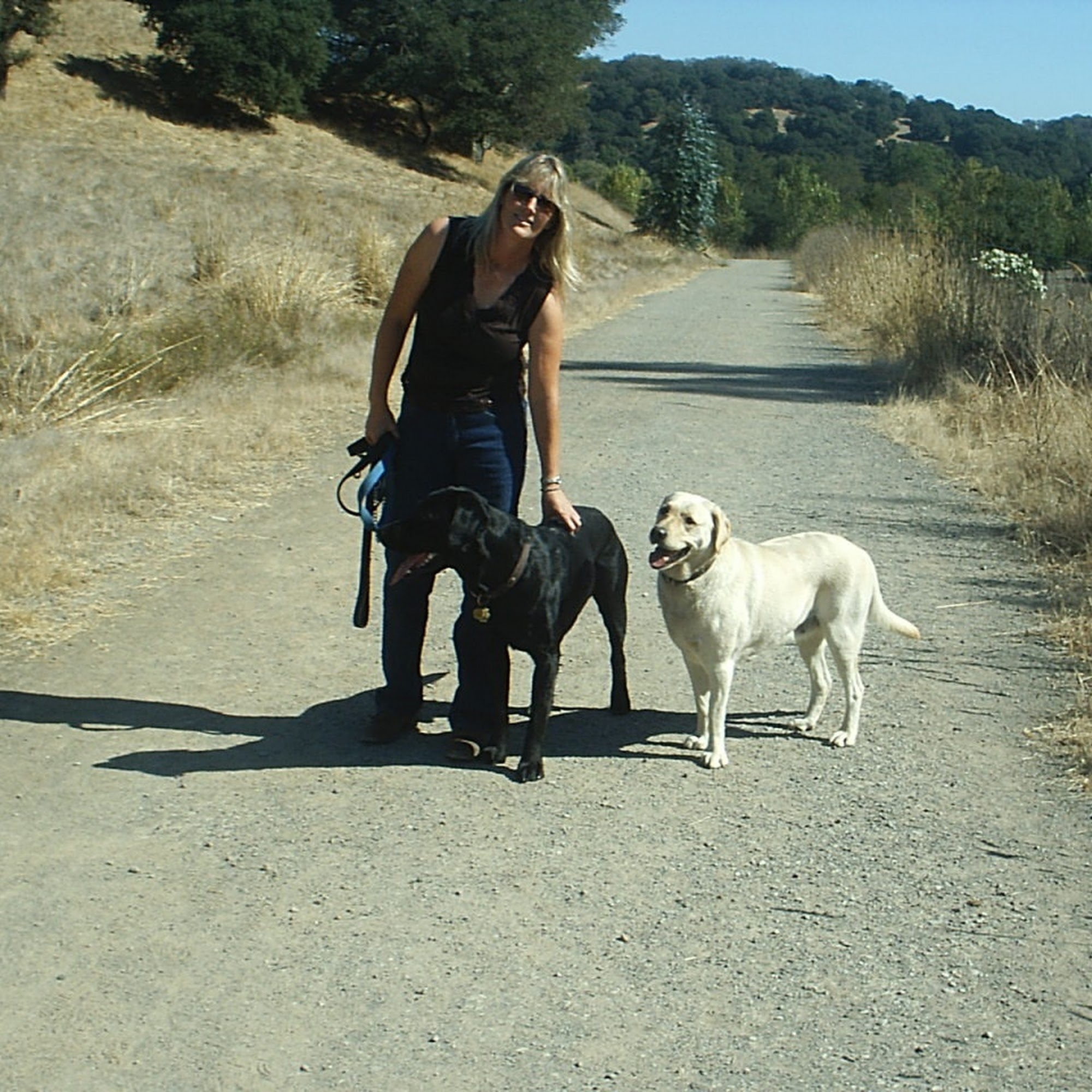 Bridewell Hilltop Boarding Kennels & Cattery Novato