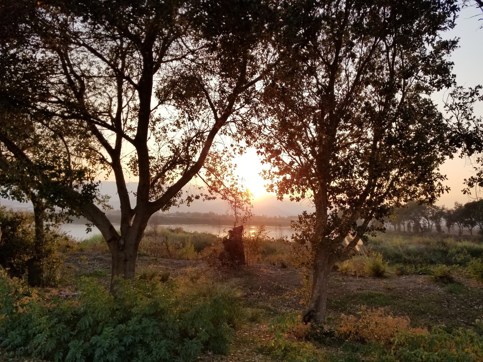 PuppyLuv Academy Inc. Novato