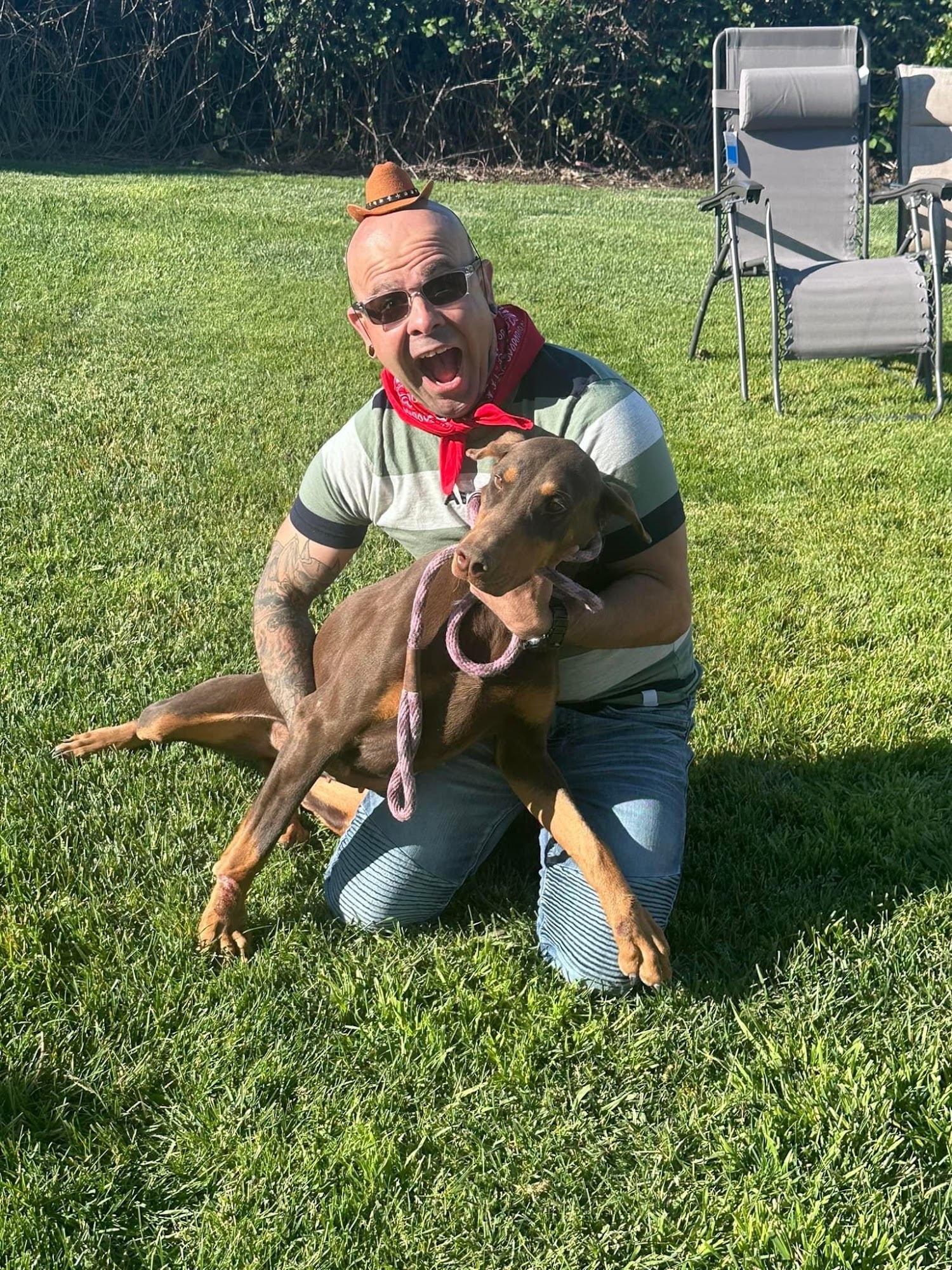 Tango Kennels Oakdale