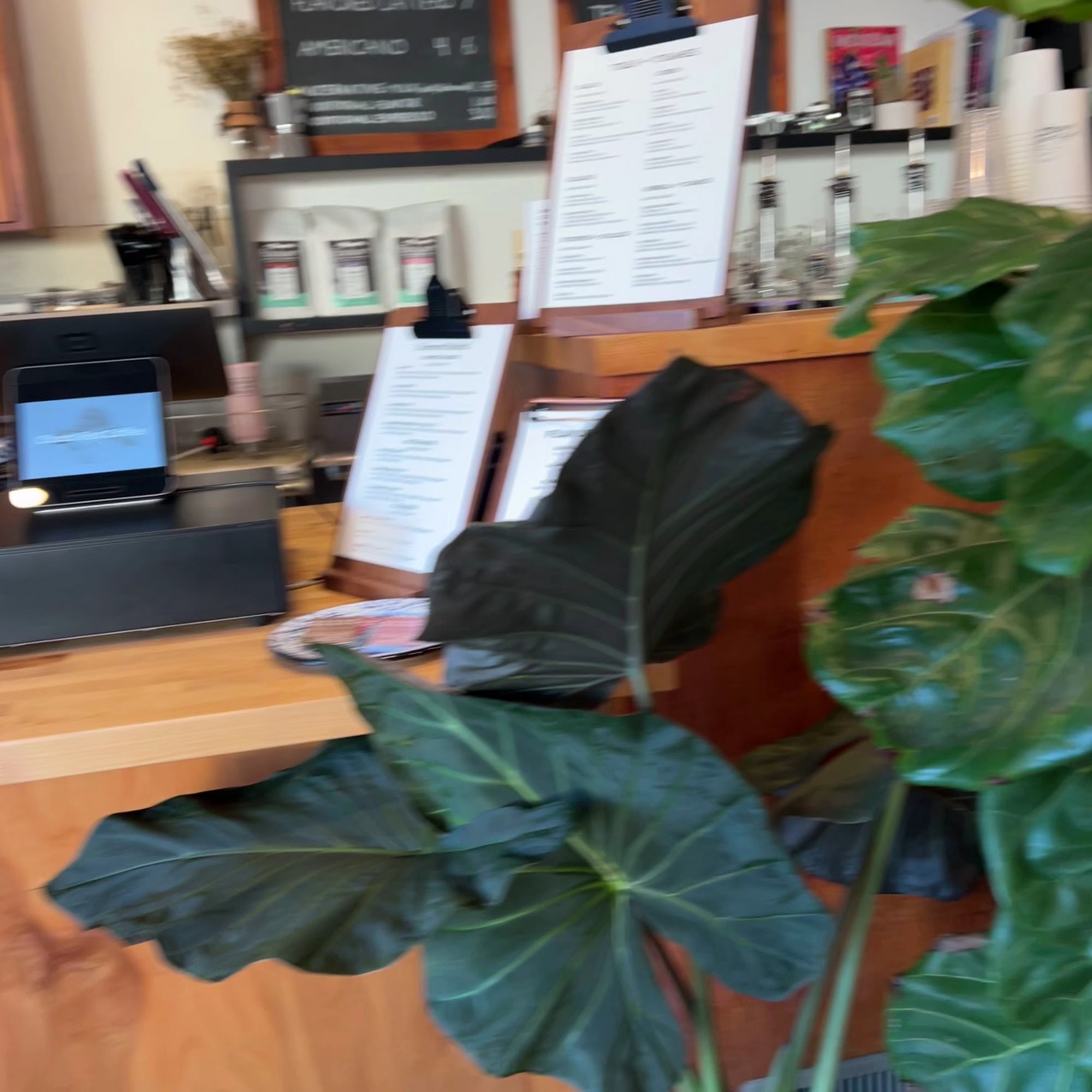 Clouds Rest Coffee Oakhurst