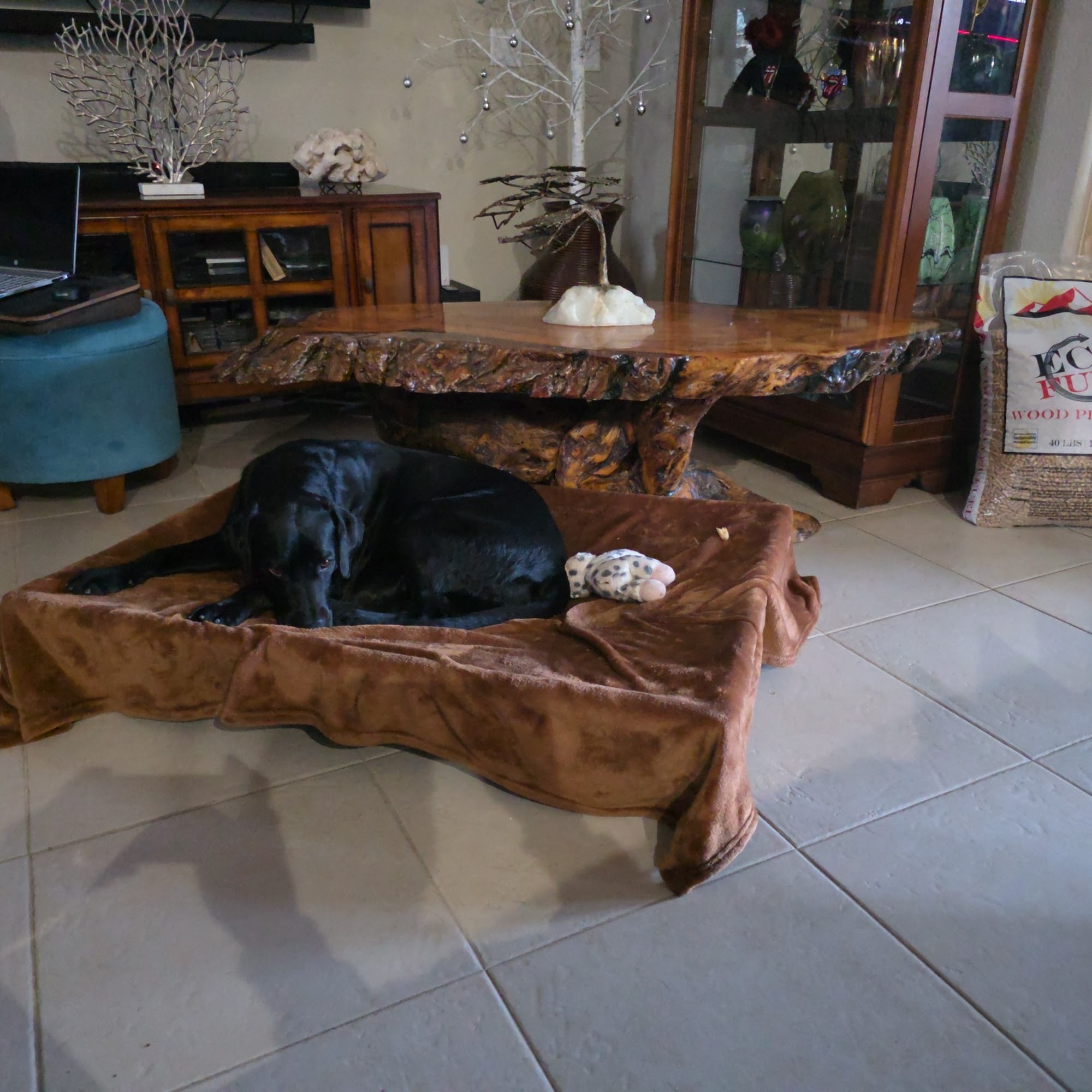 Animal Hospital of the Sierra Oakhurst