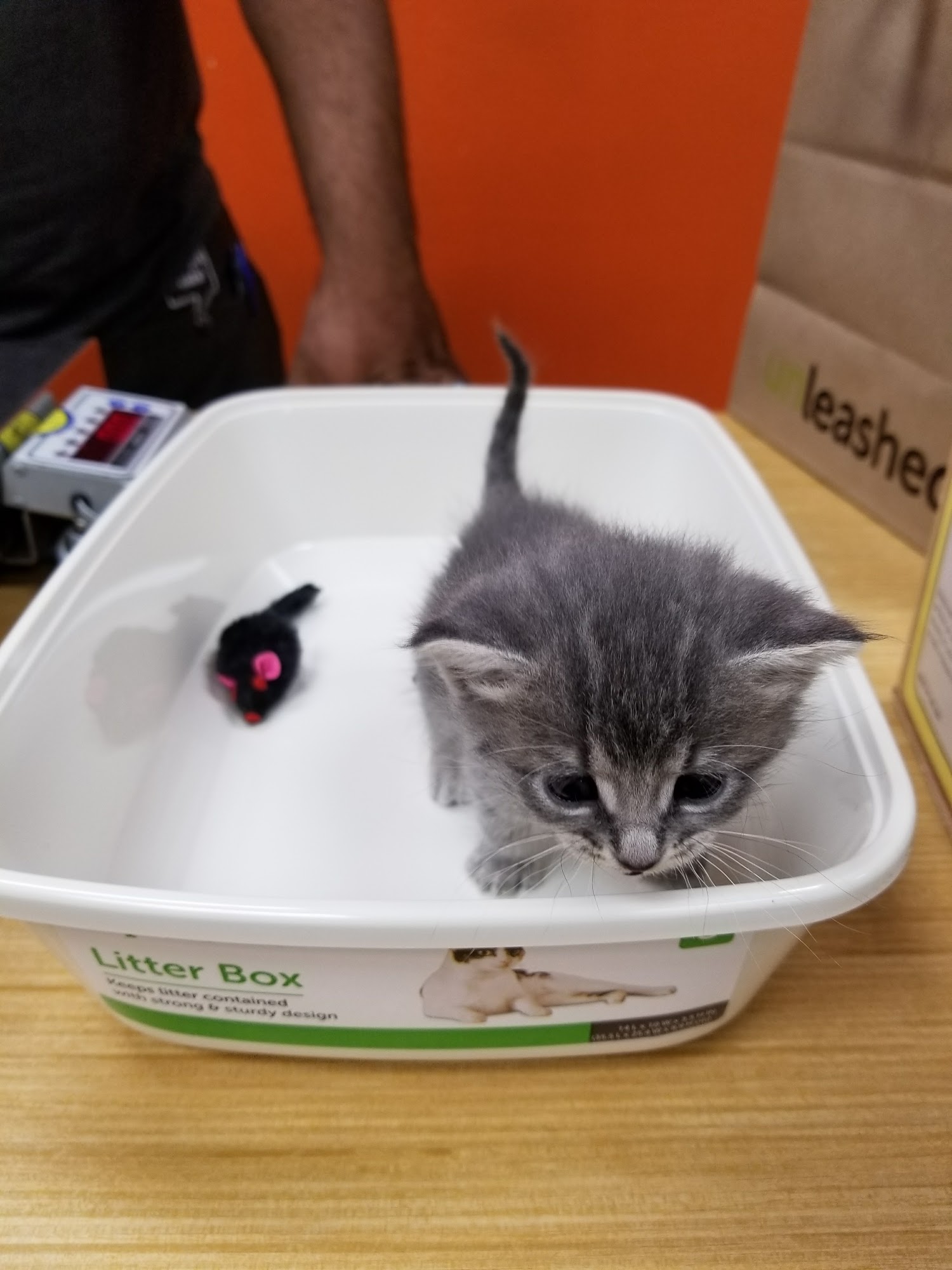 Unleashed by Petco Oakland