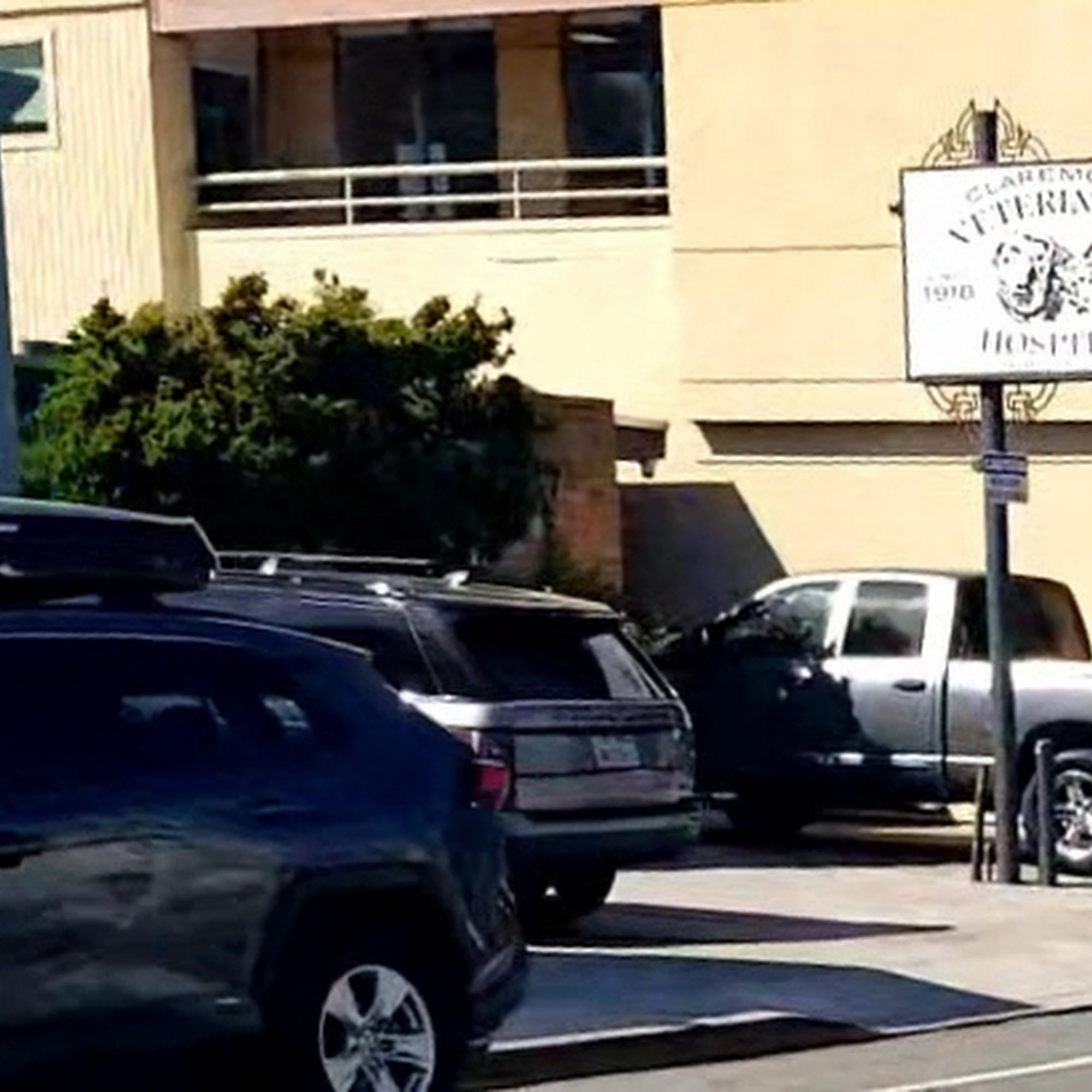 Claremont Veterinary Hospital Oakland