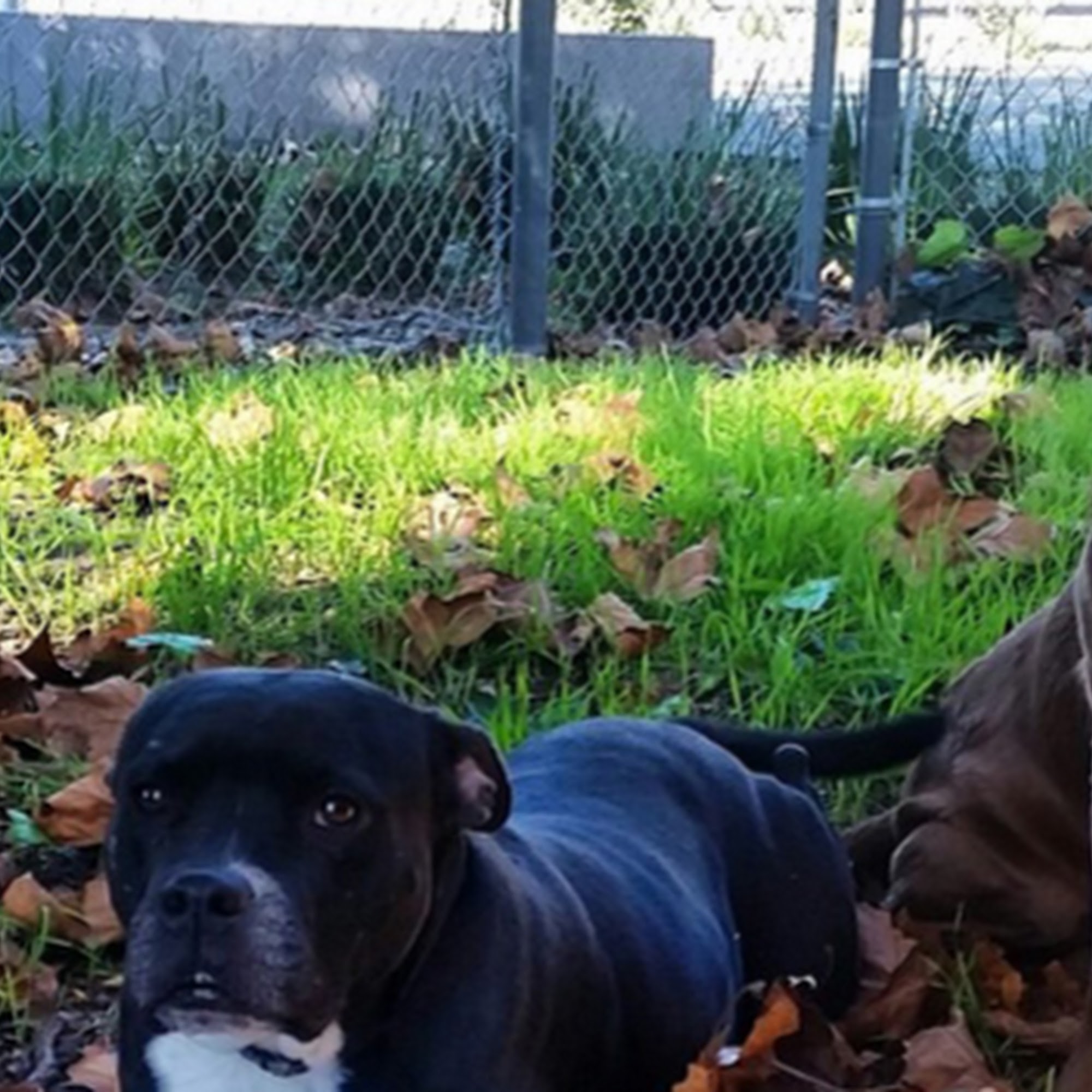 Spaw Fitness Oakland