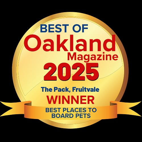 The Pack, Fruitvale Oakland