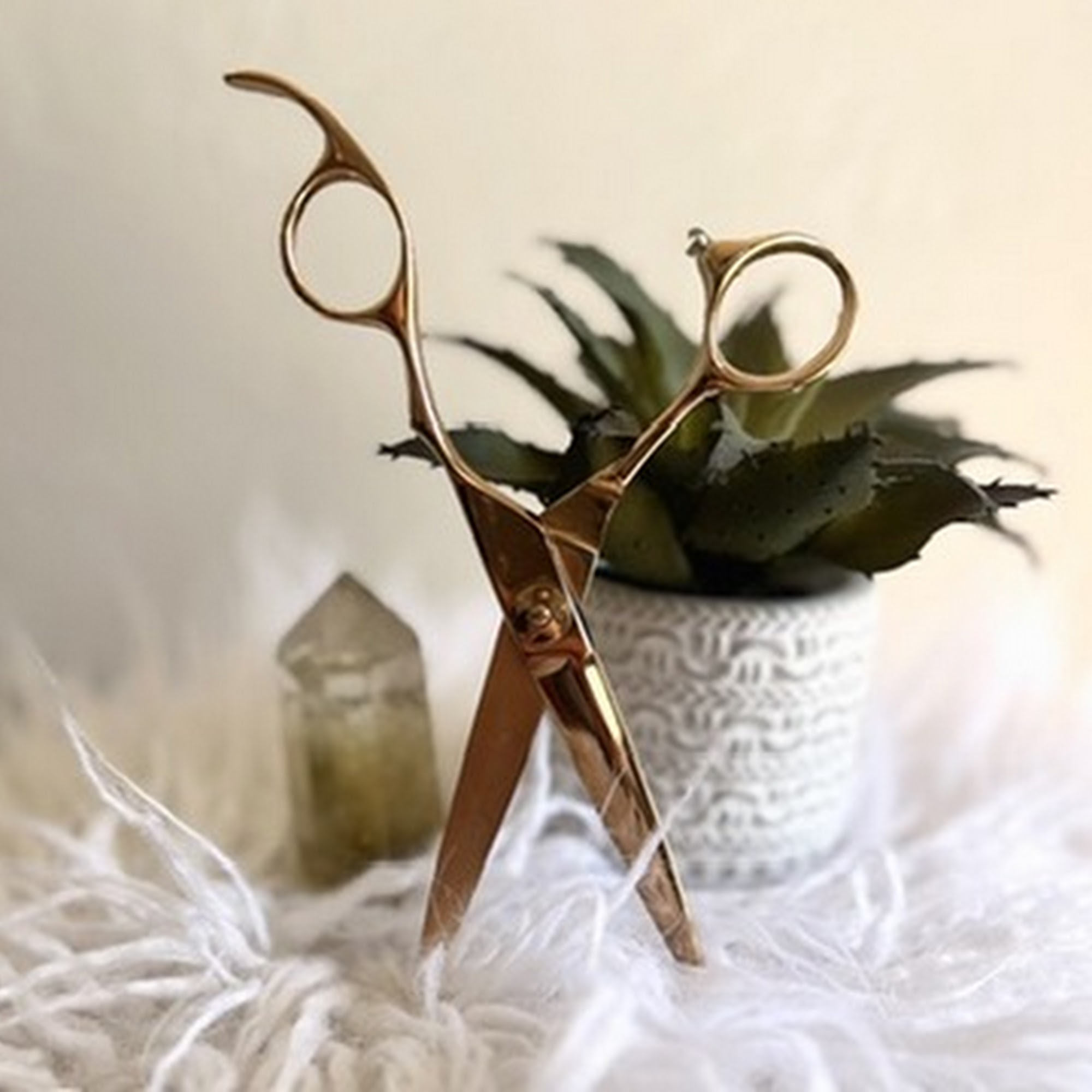 Rustic Mane 4315 Piedmont Ave #105, Oakland California 94611