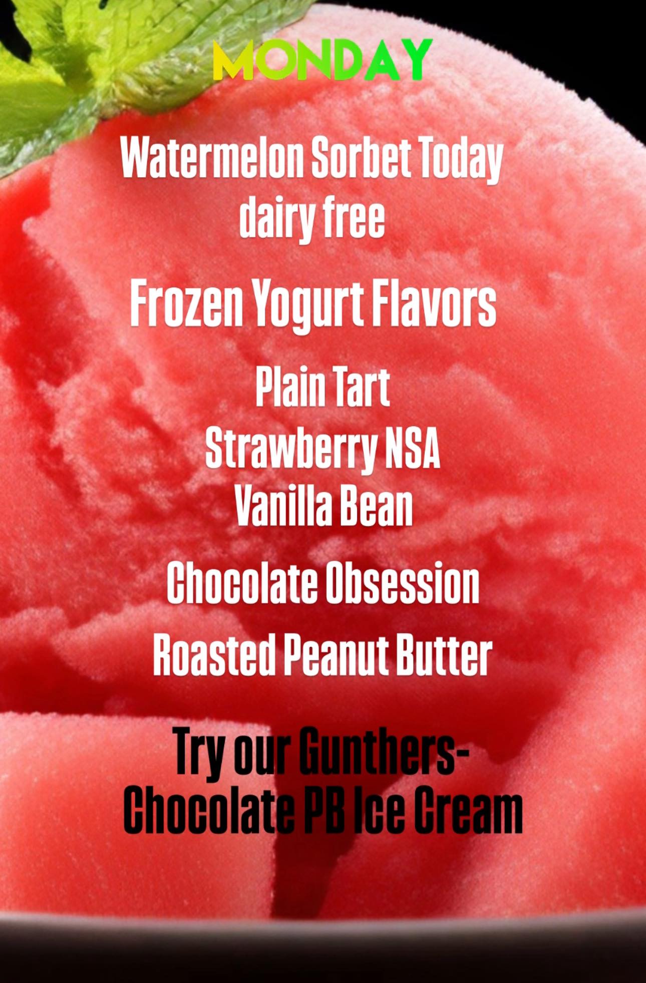 Yogurt Island Oakley