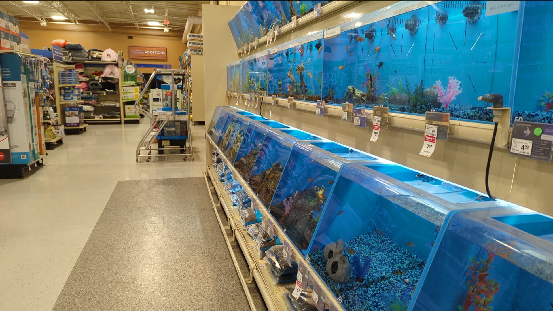 PetSmart Oceanside