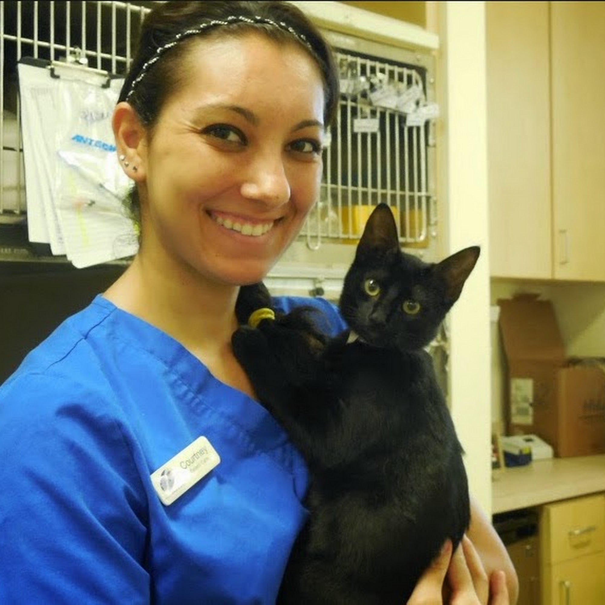 Pacific Animal Hospital Oceanside