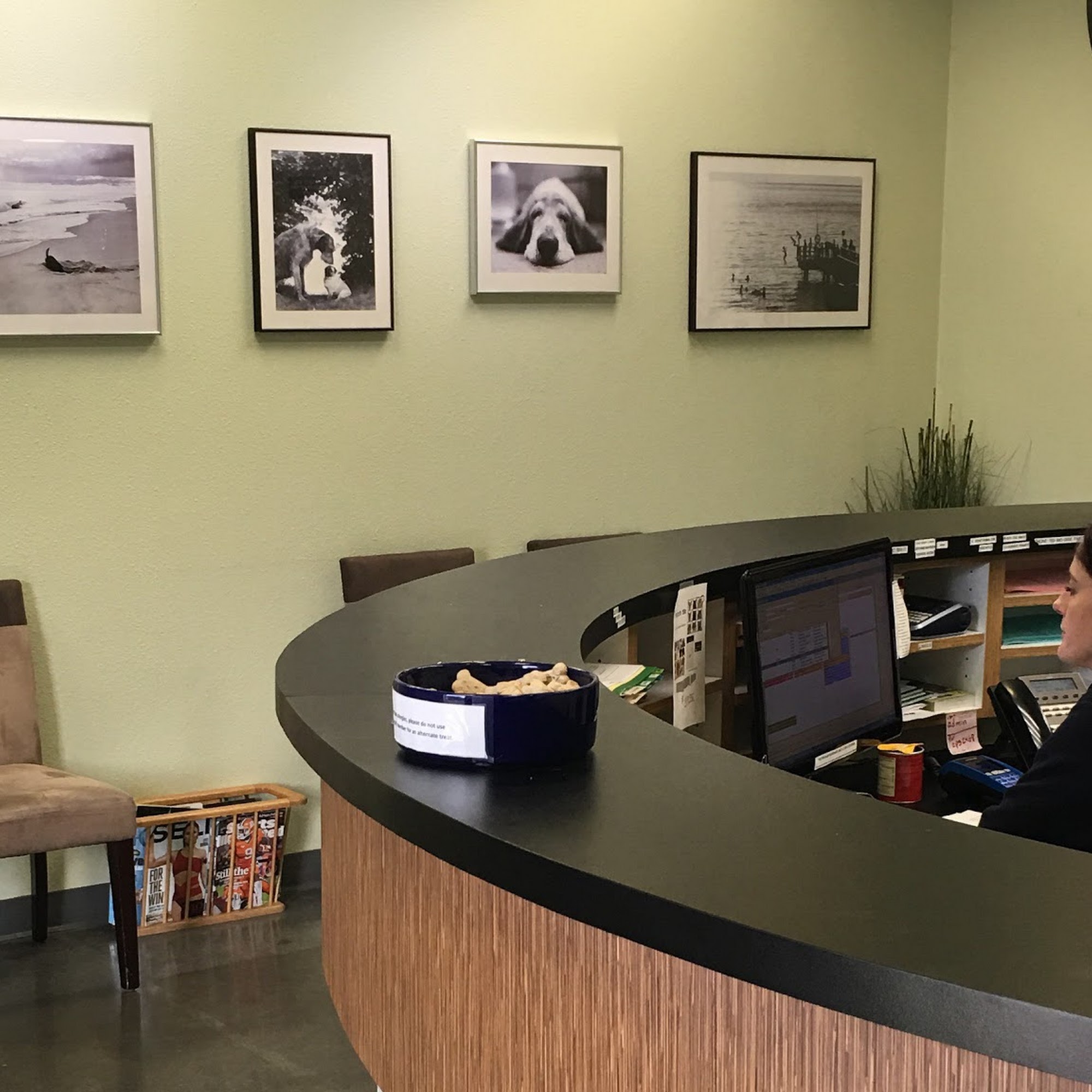 Rancho Del Oro Veterinary Hospital Oceanside