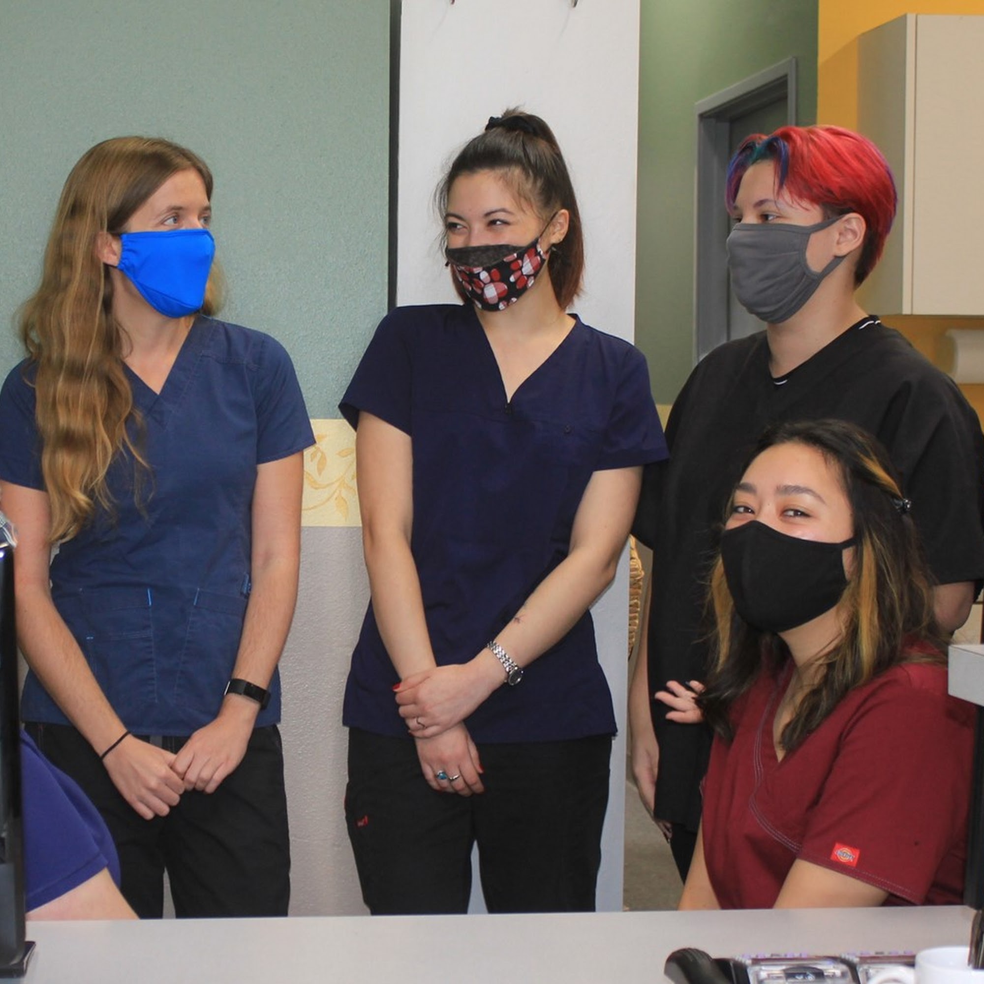 North County Cat Hospital Oceanside