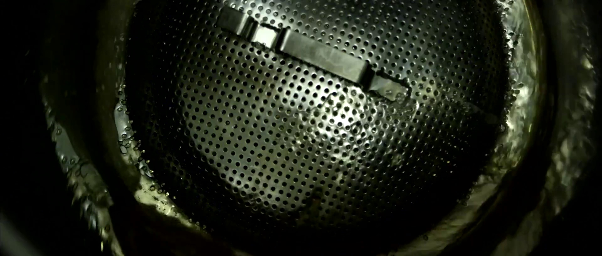 Black Plague Brewing Oceanside