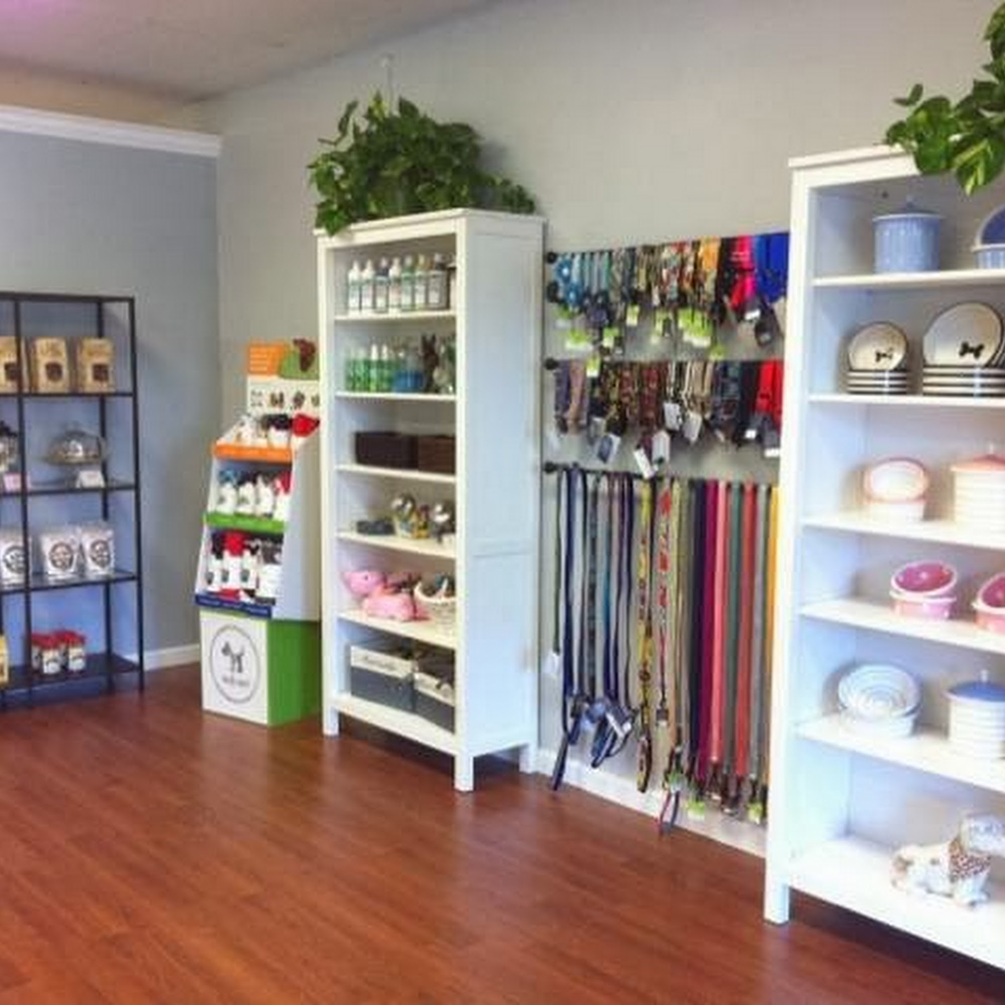 Pup Culture Pet Spaw Oceanside