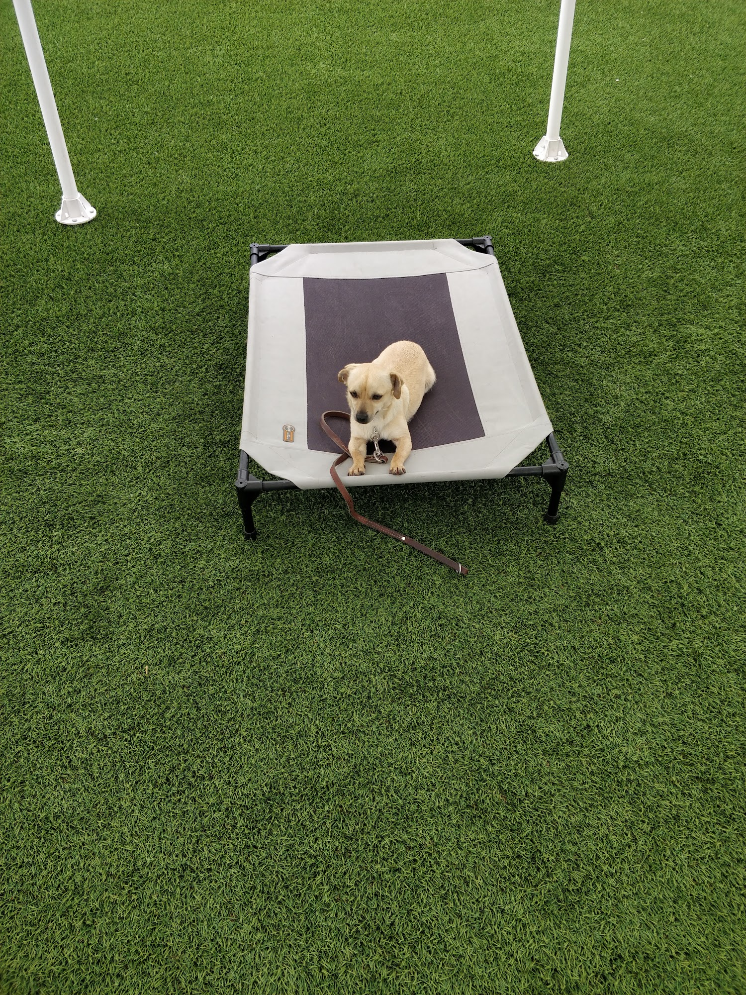 Pacific Pet Resort Oceanside