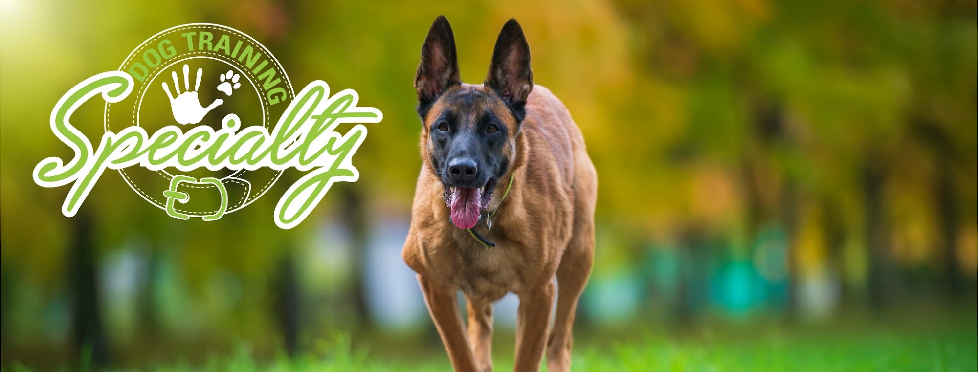 Specialty Dog Training Oceanside