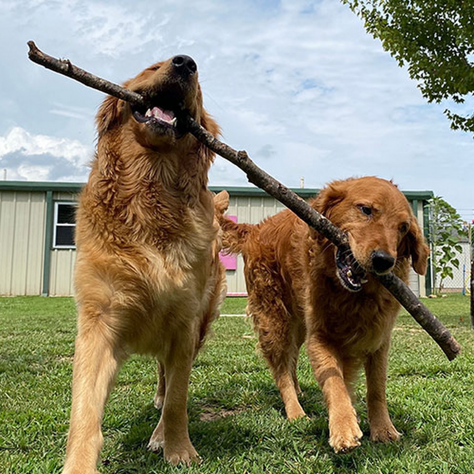Aqua Animal Care Center Oceanside