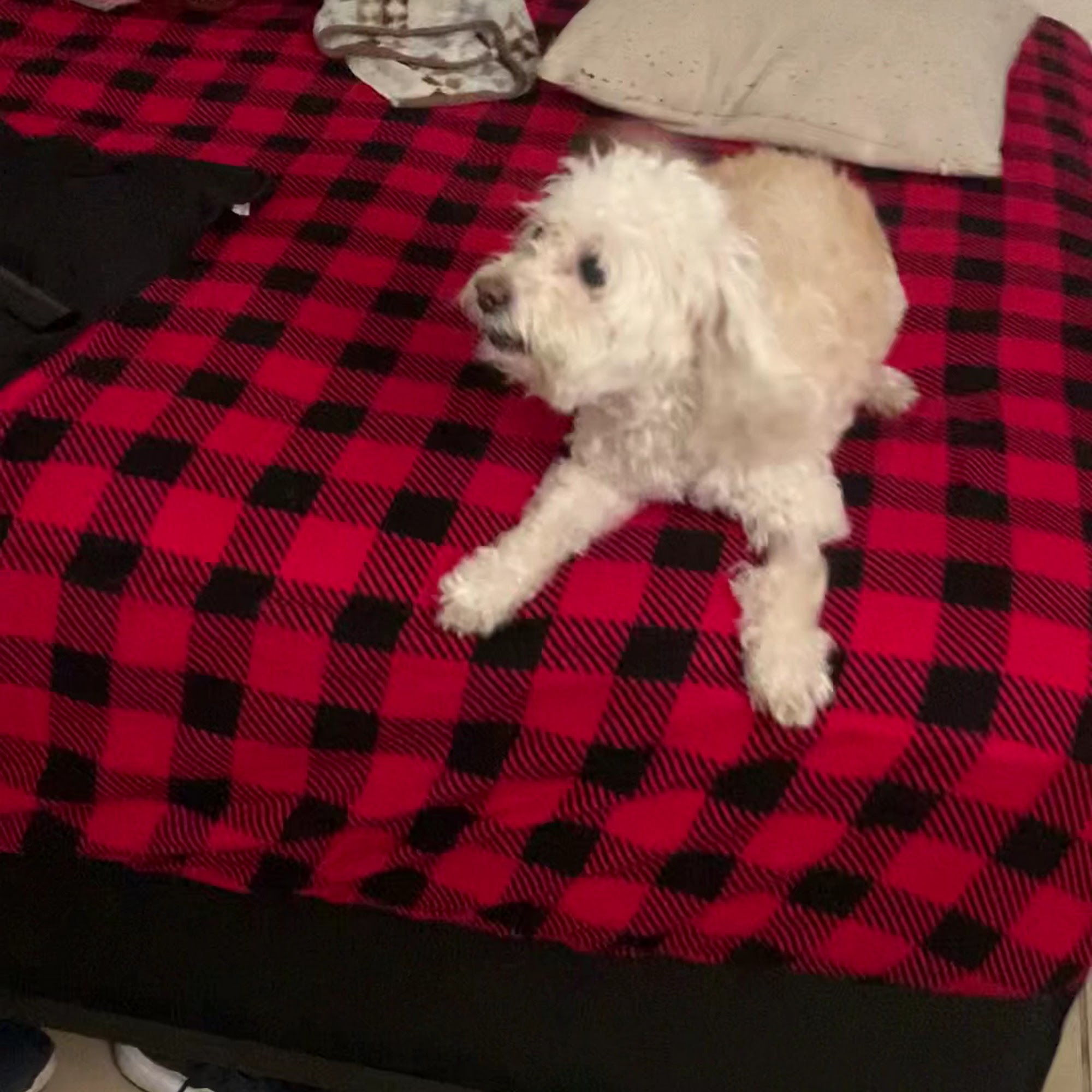 Euclid Veterinary Hospital Ontario