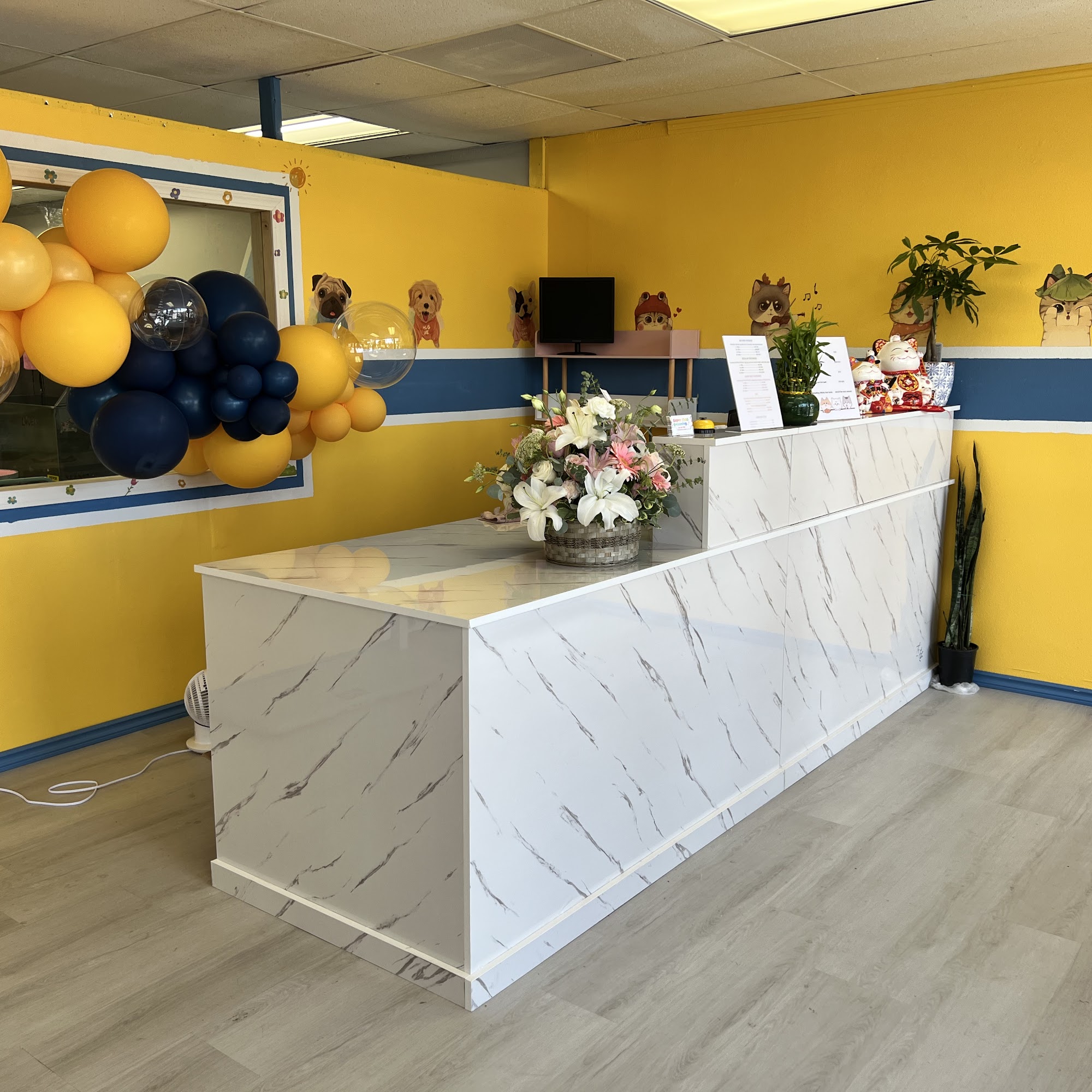 Super iDog Grooming Ontario