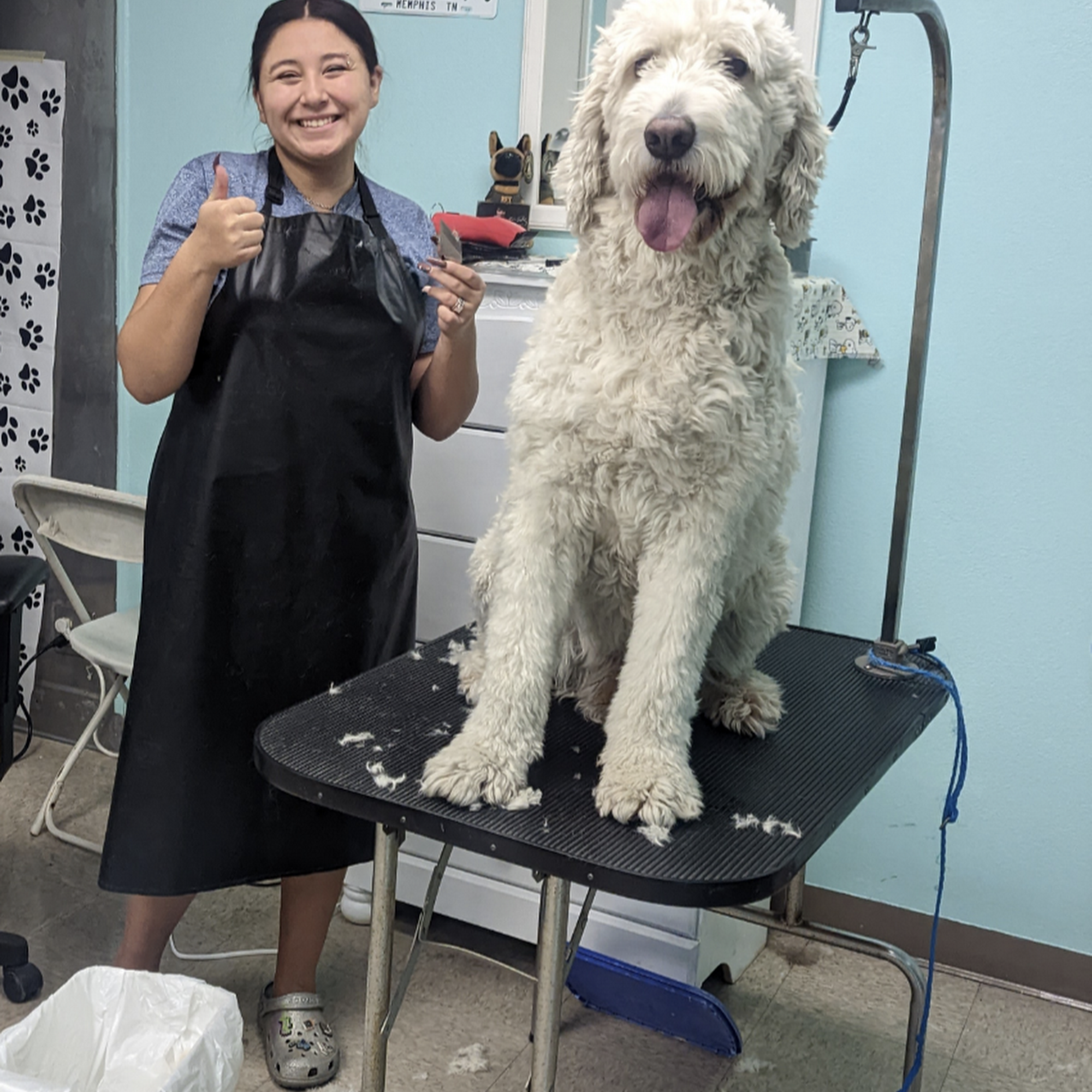 Fetch-N-Play Dog Grooming Ontario