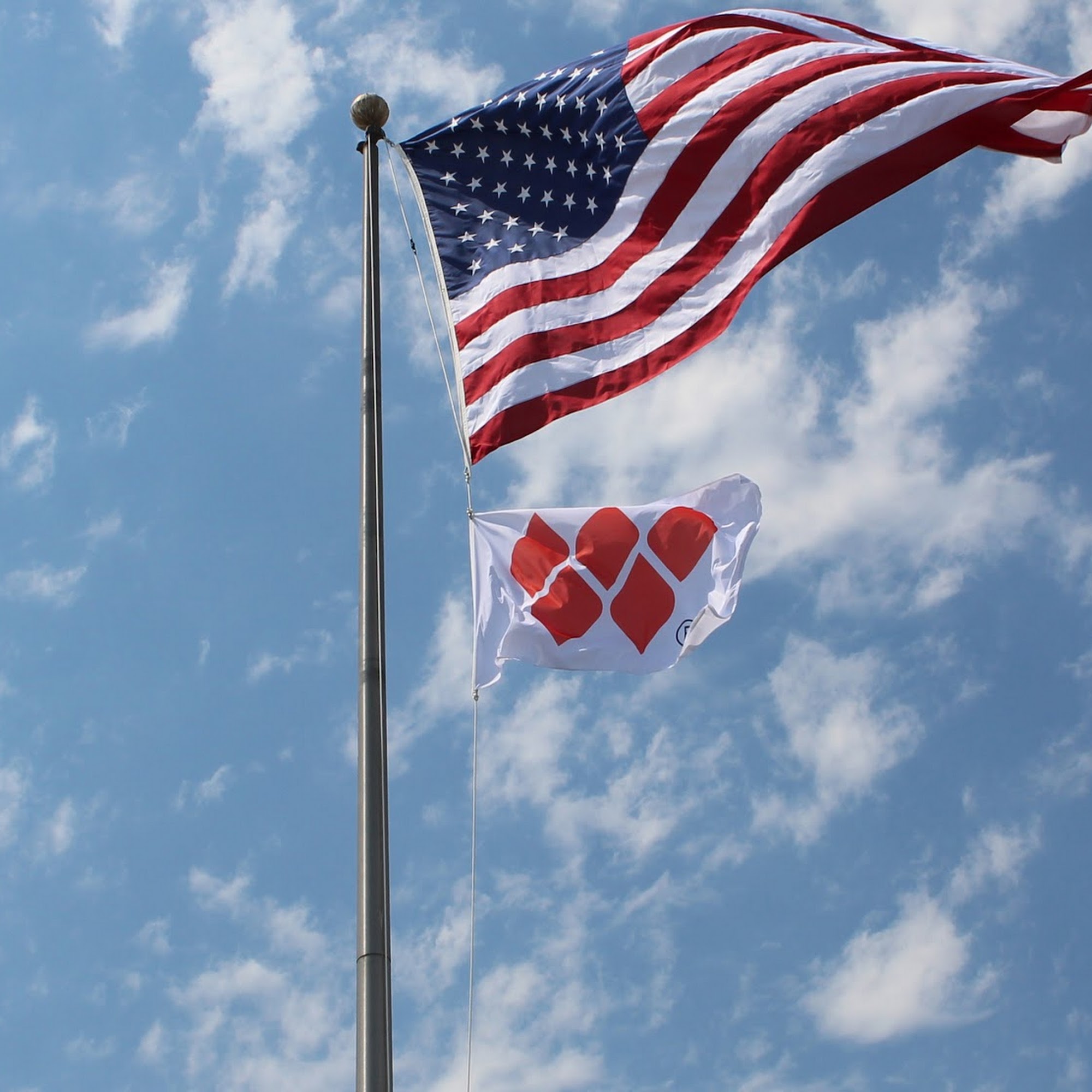 Wallner Expac Ontario