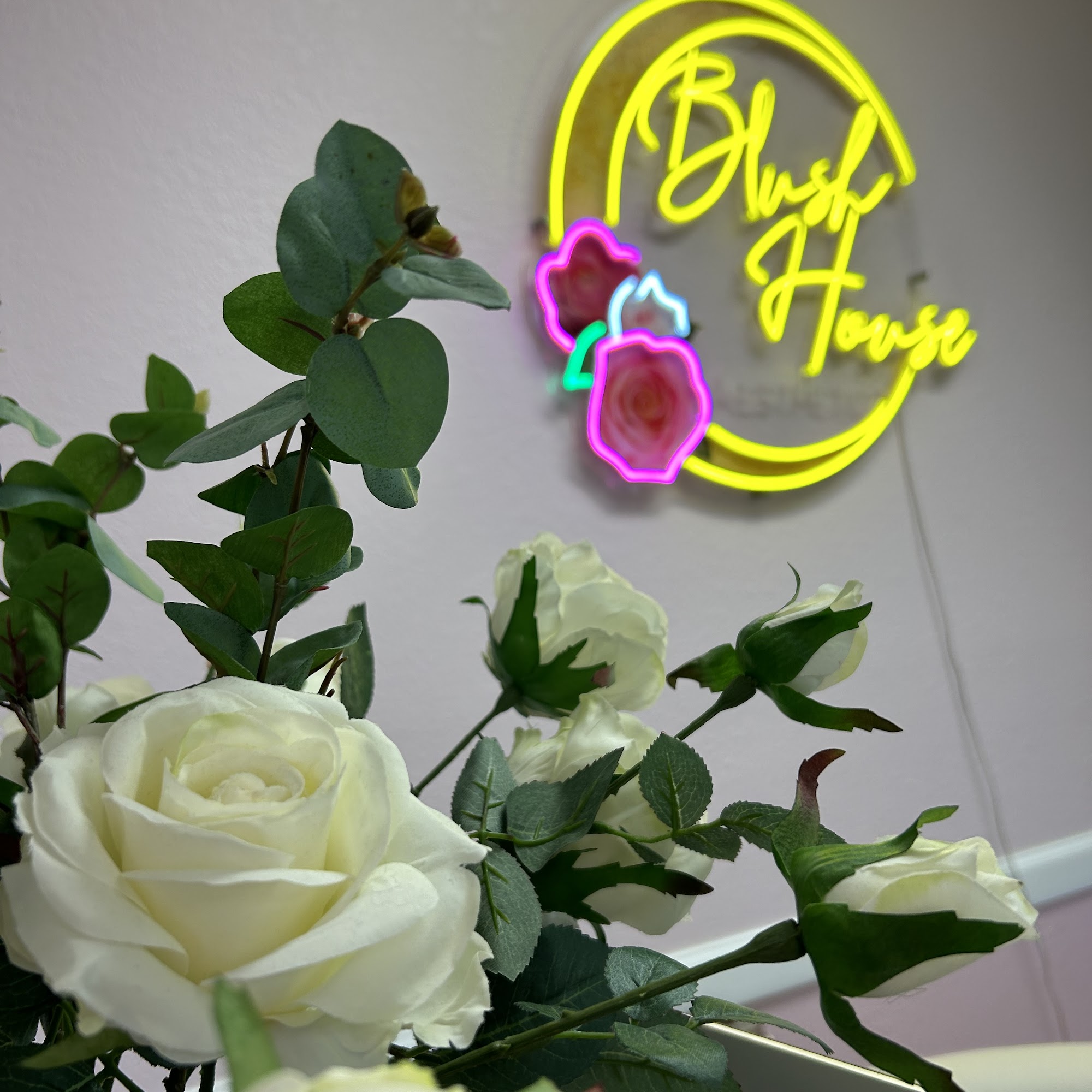 Blush House Aesthetics