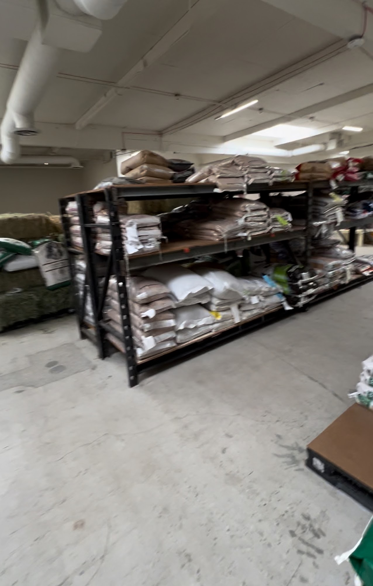 Foothill Feed Orange