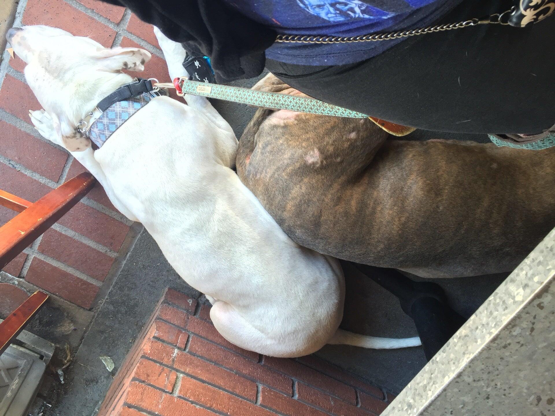 Photo credit: nextdoor