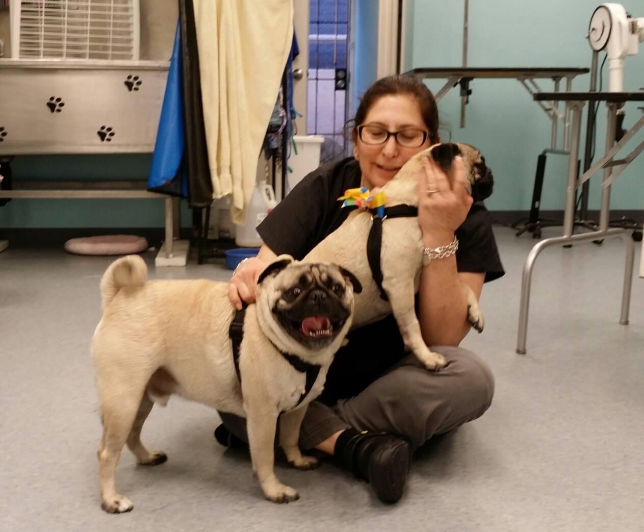 Grooming by Connie Orange