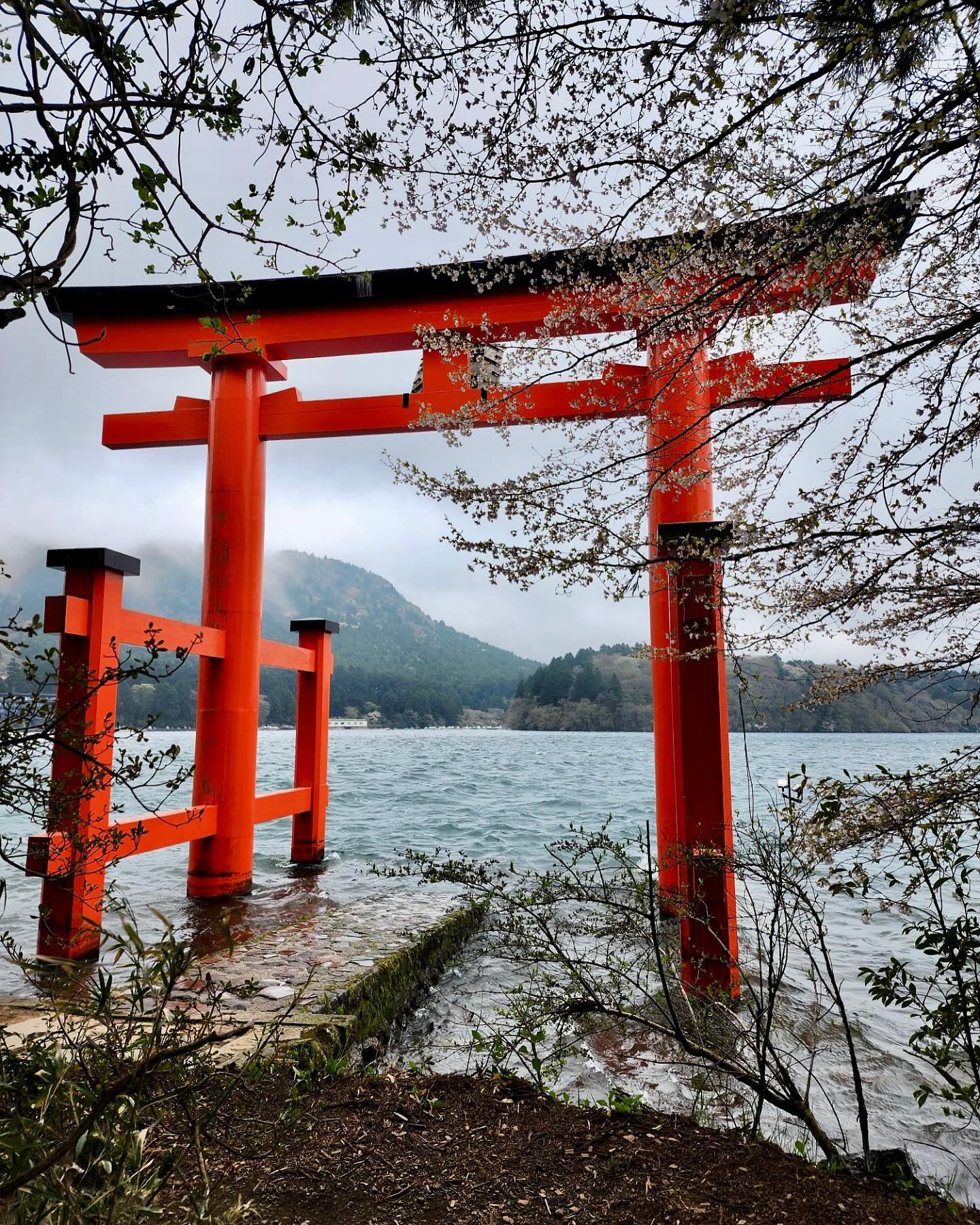 OC Employee Rights Law Firm