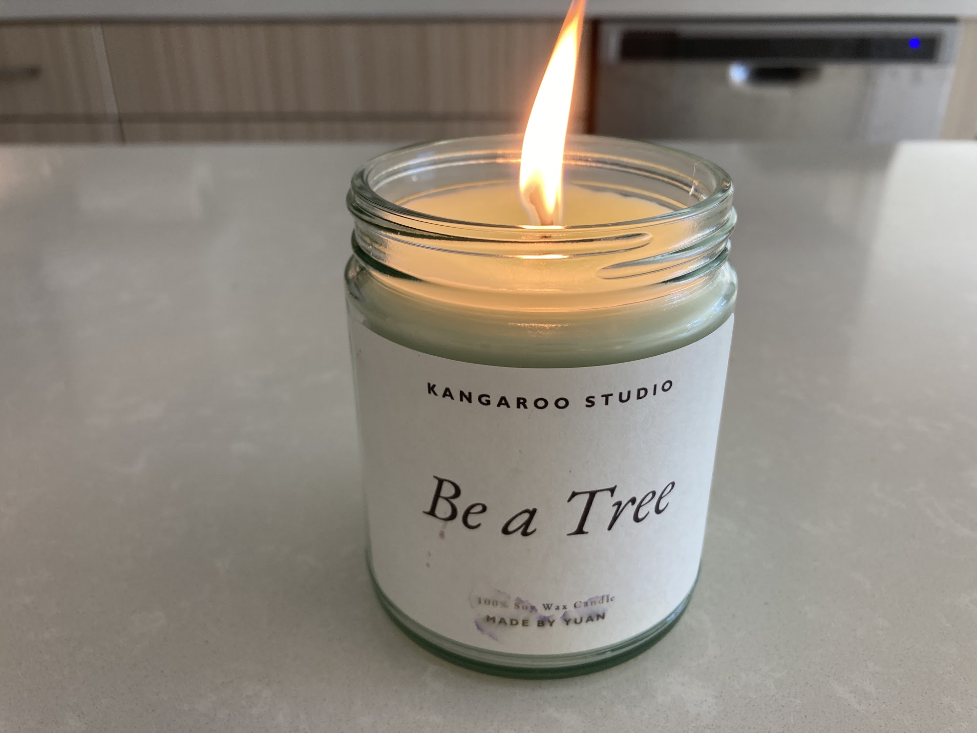 Kangaroo Studio Orange