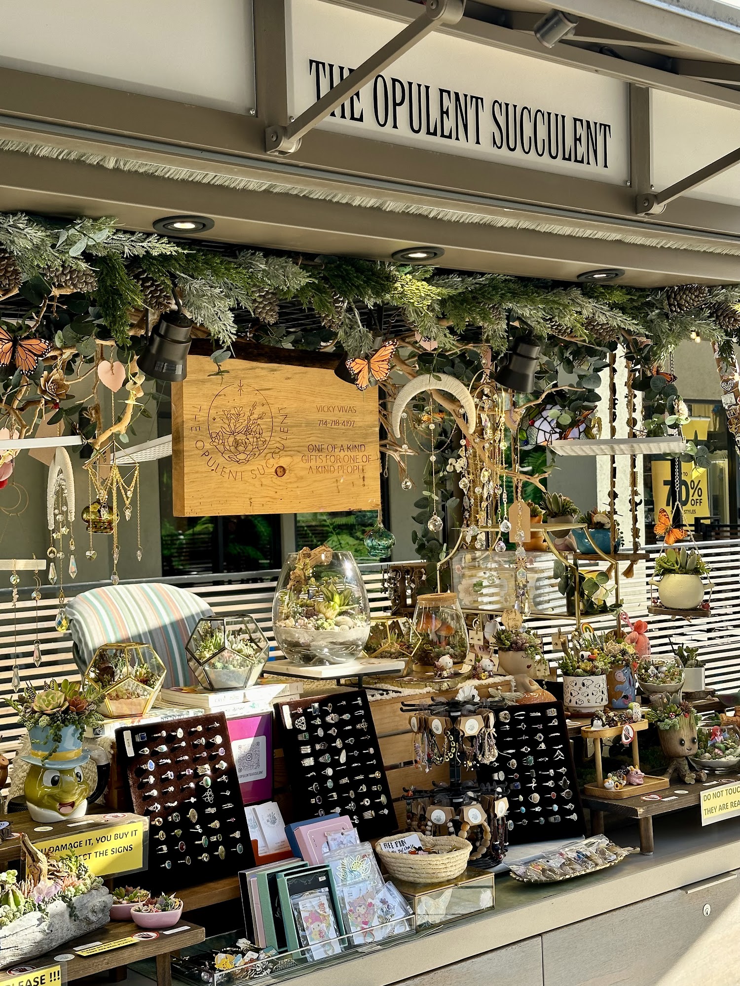 The Opulent Succulent Orange