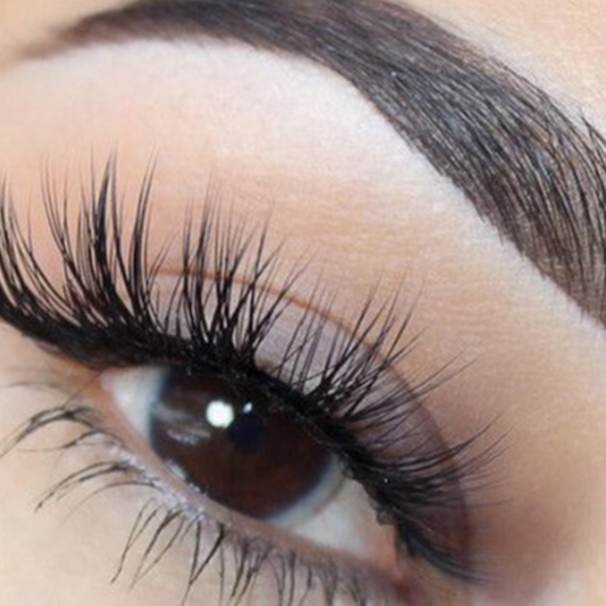 Beauty Eyelash