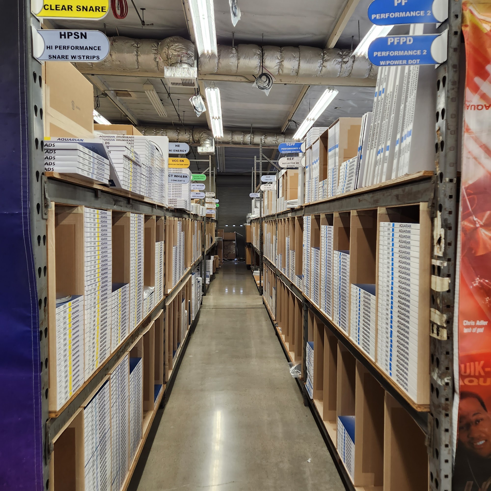 Aquarian Drumheads Orange