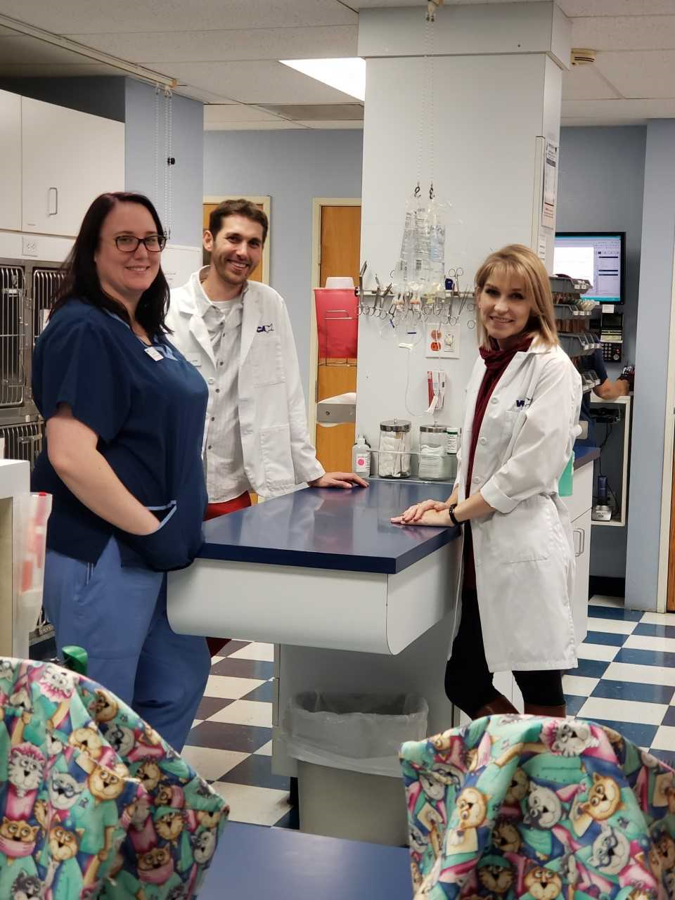 VCA American River Animal Hospital Orangevale