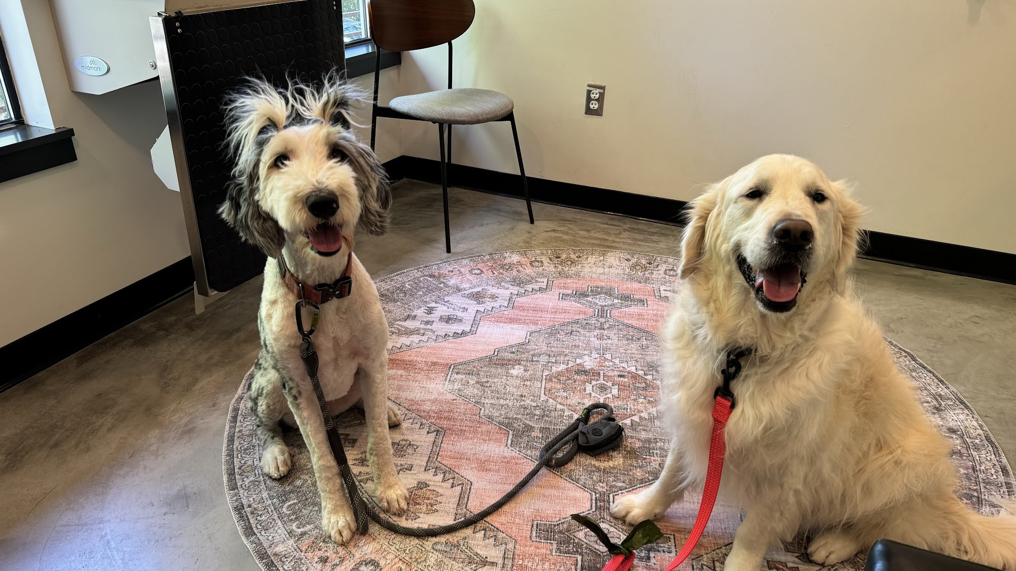 Just groom it by Leah Orangevale