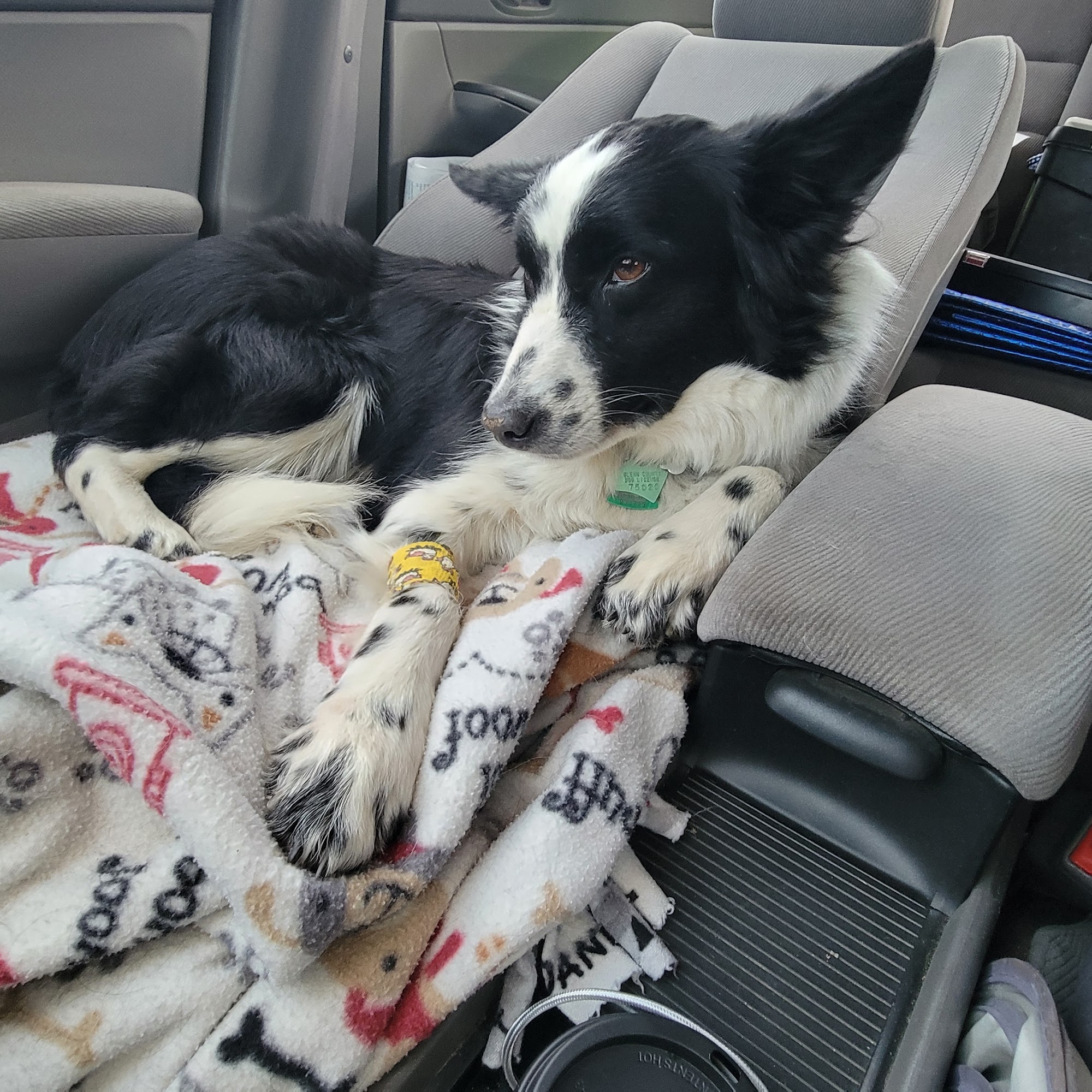 Orland Veterinary Hospital Orland