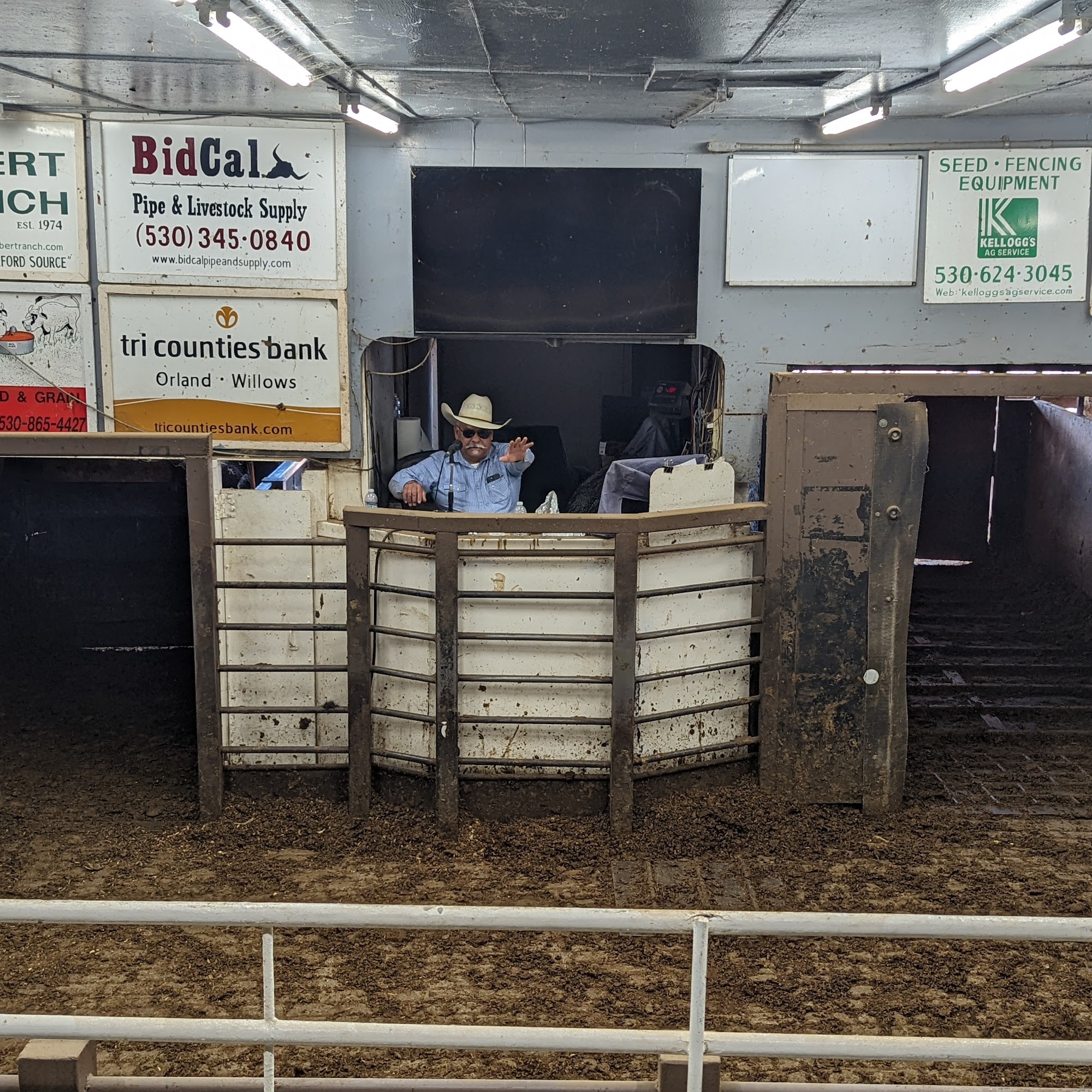 Orland Livestock Commission Orland