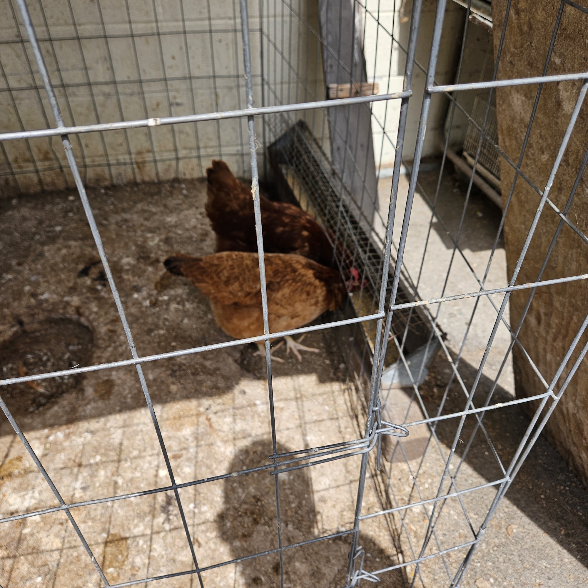 Oxnard Seed & Feed Oxnard