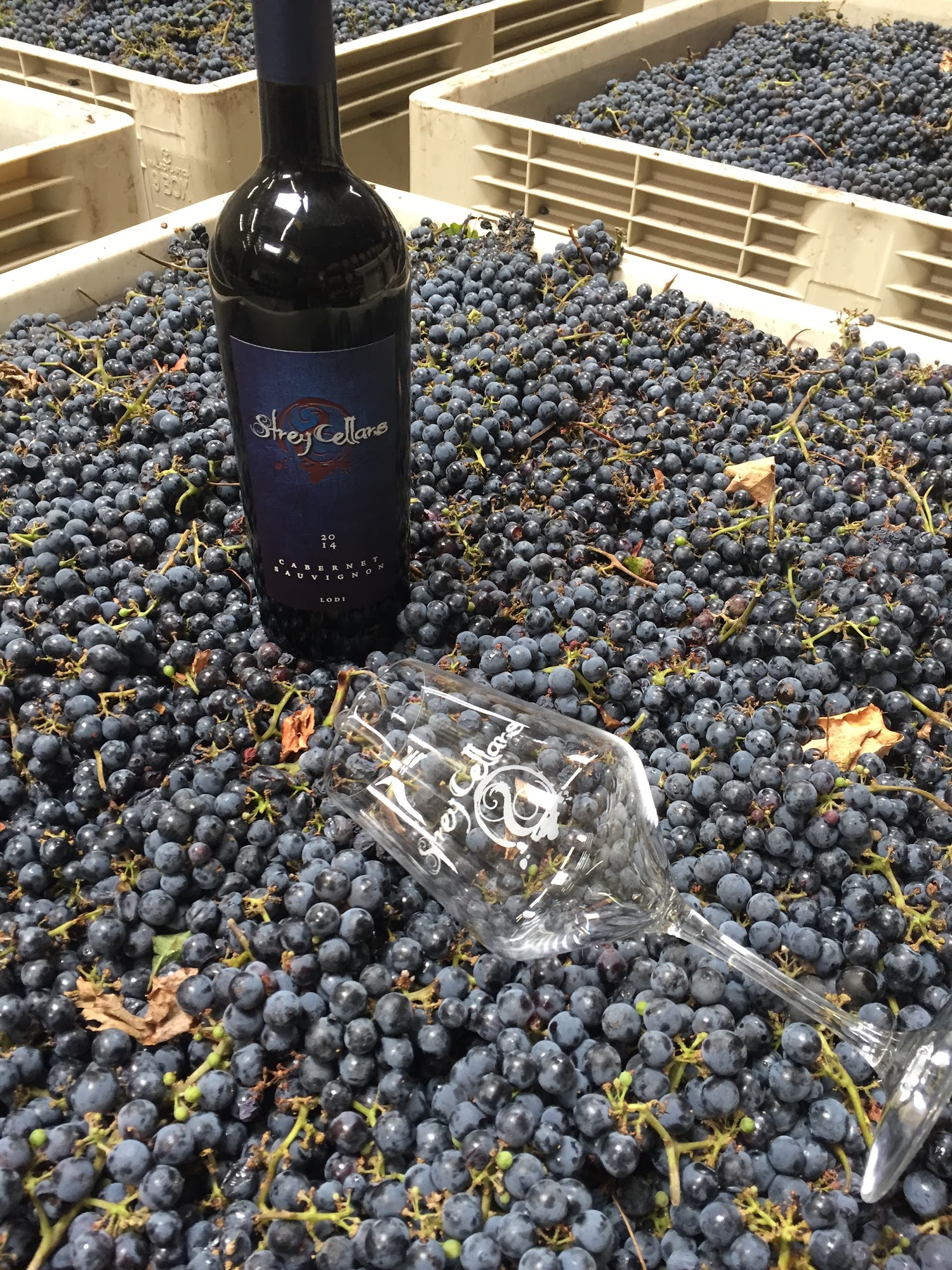 Strey Cellars Oxnard