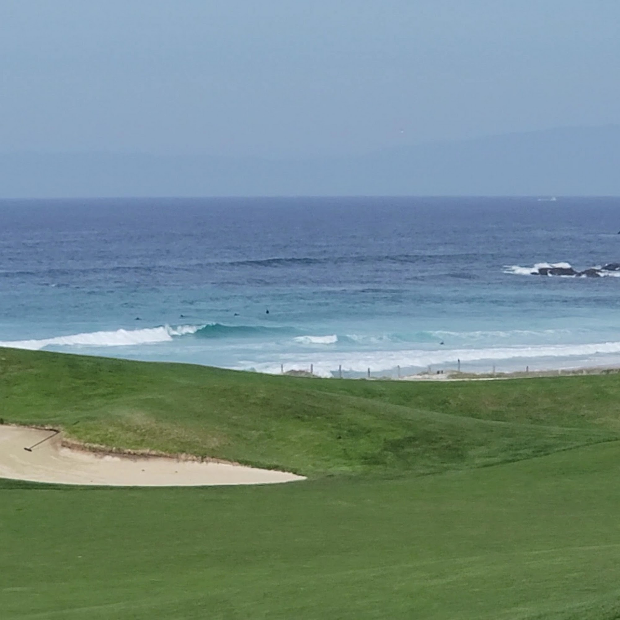 Sticks Pacific Grove