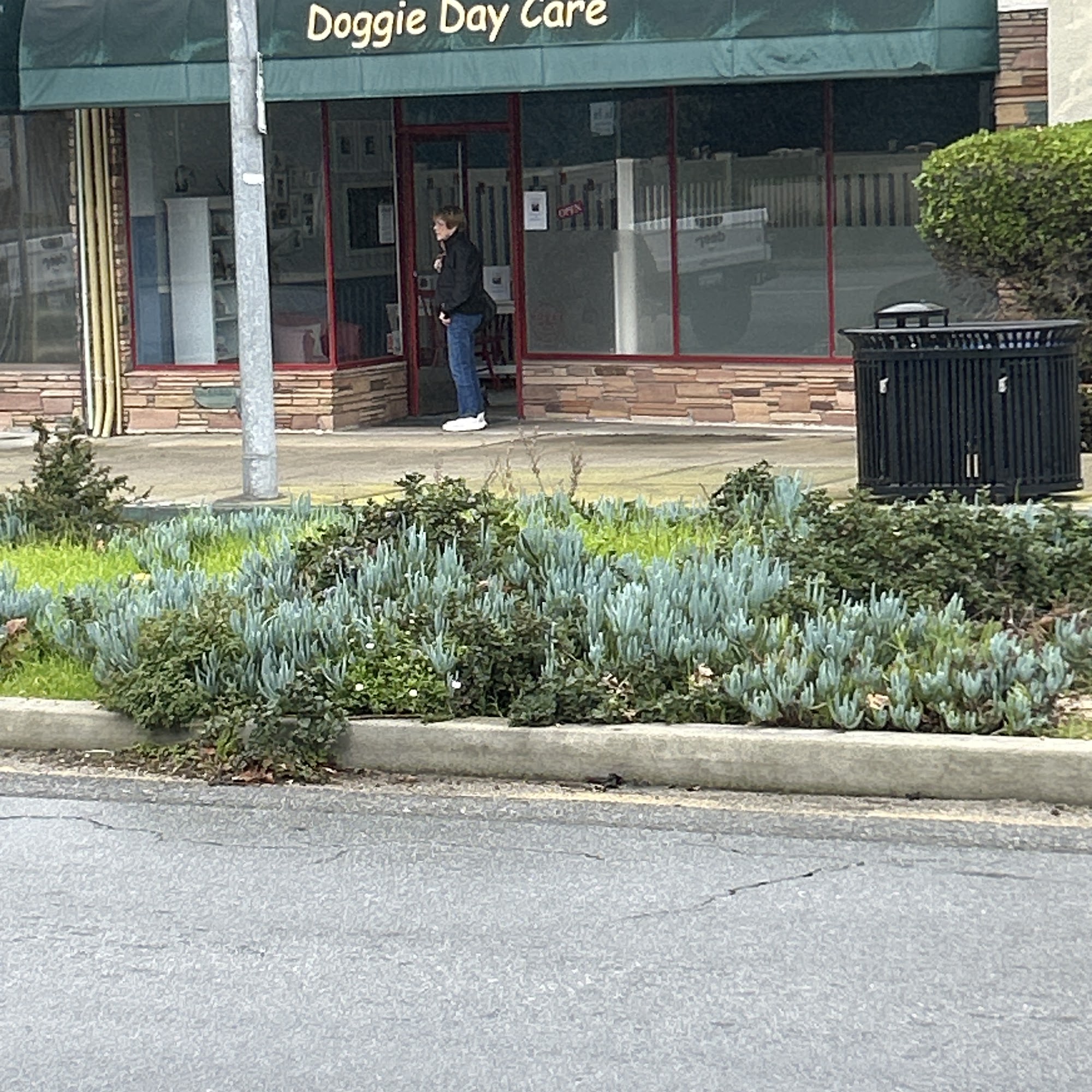 Doggie Day Care Pacific Grove