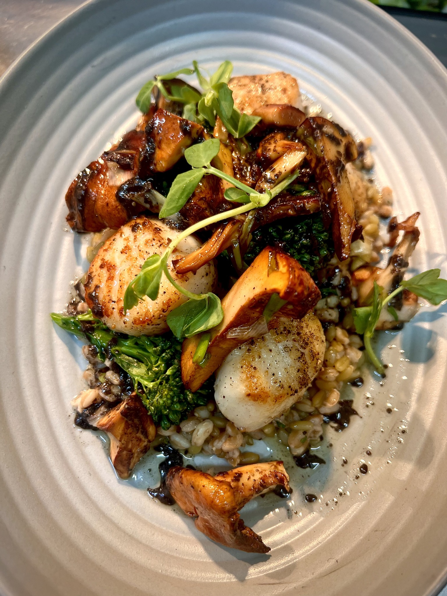 Spotted Duck Pacific Grove