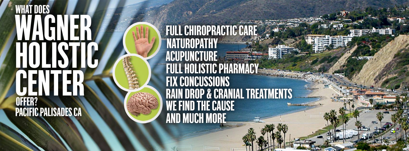 Palisades Holistic Chiro Center