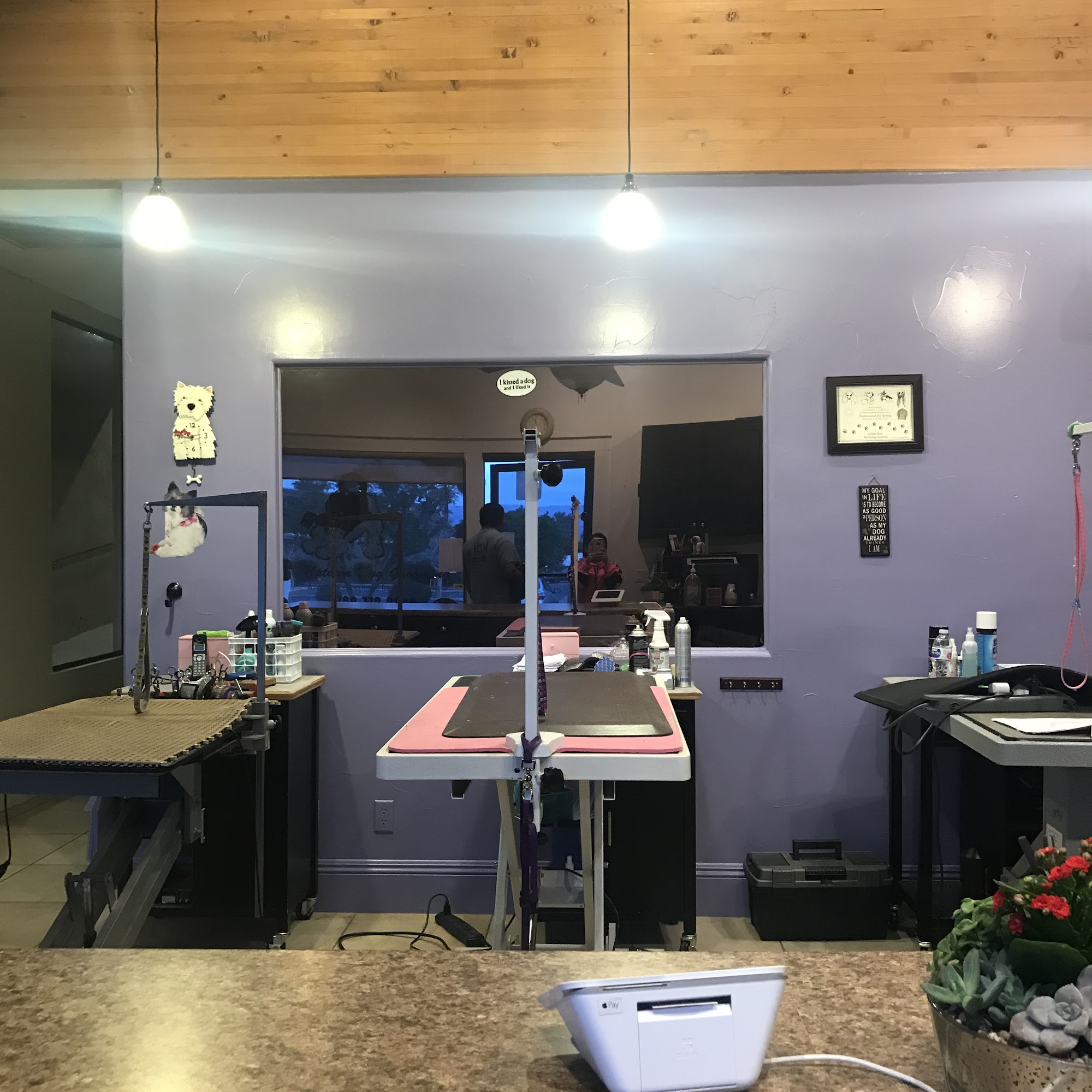 Uptown Dog Grooming Palm Desert