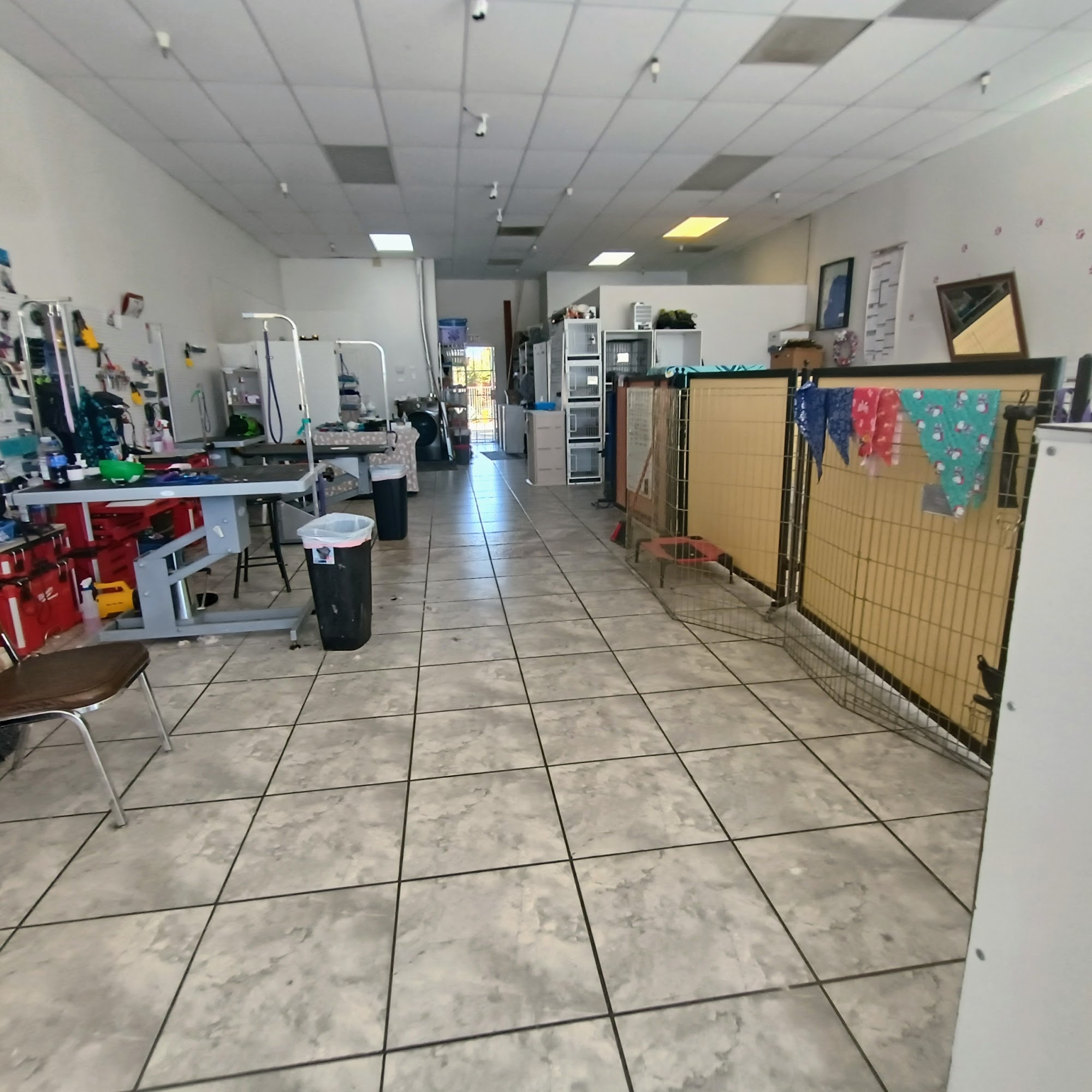 The Pampered Pet Palm Desert