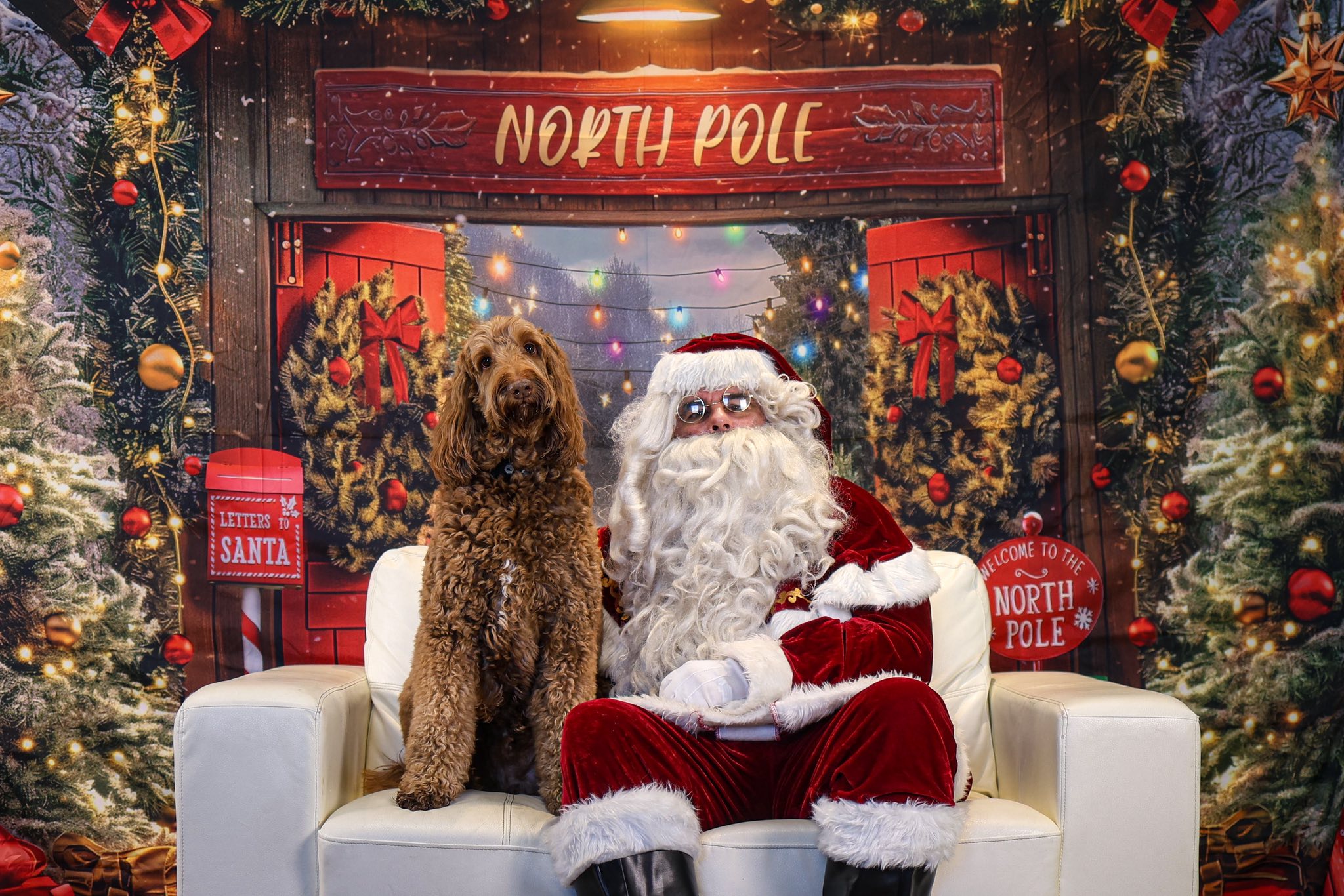 The Village Pup Palm Desert