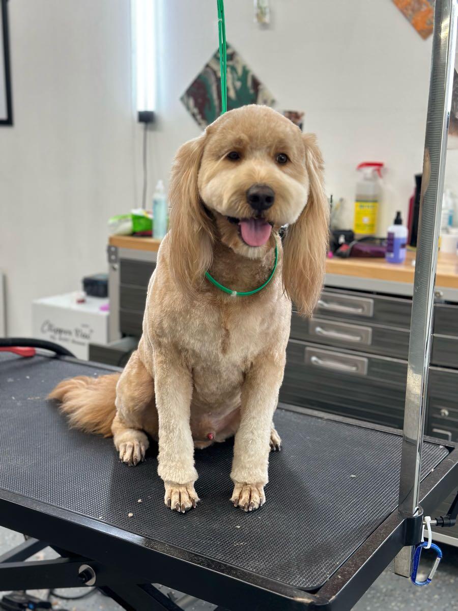 Photo credit: nextdoor