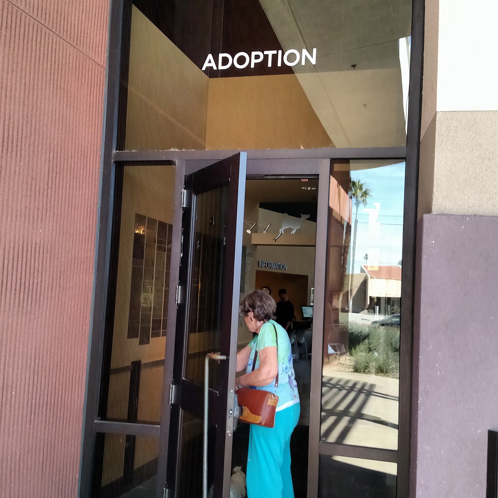 Palm Springs Animal Shelter Palm Springs