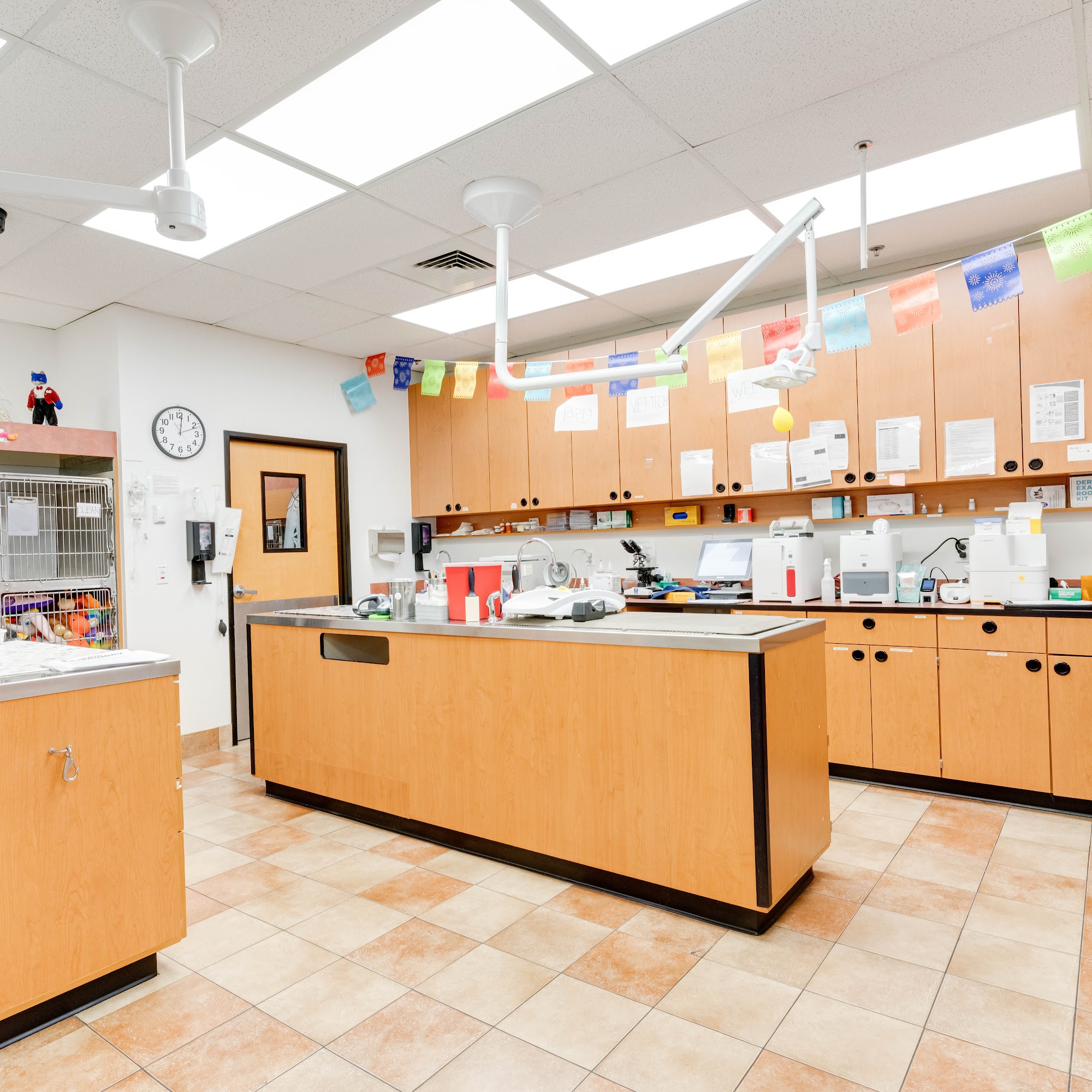 PetSmart Veterinary Services - Palm Springs Palm Springs